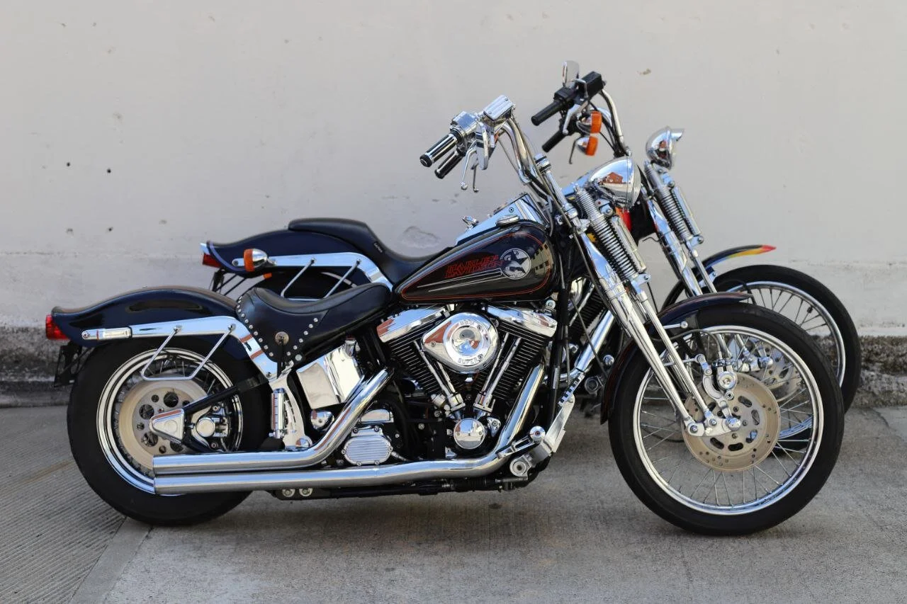 HARLEY - DAVIDSON SOFTAIL SPRINGERVENDUTA