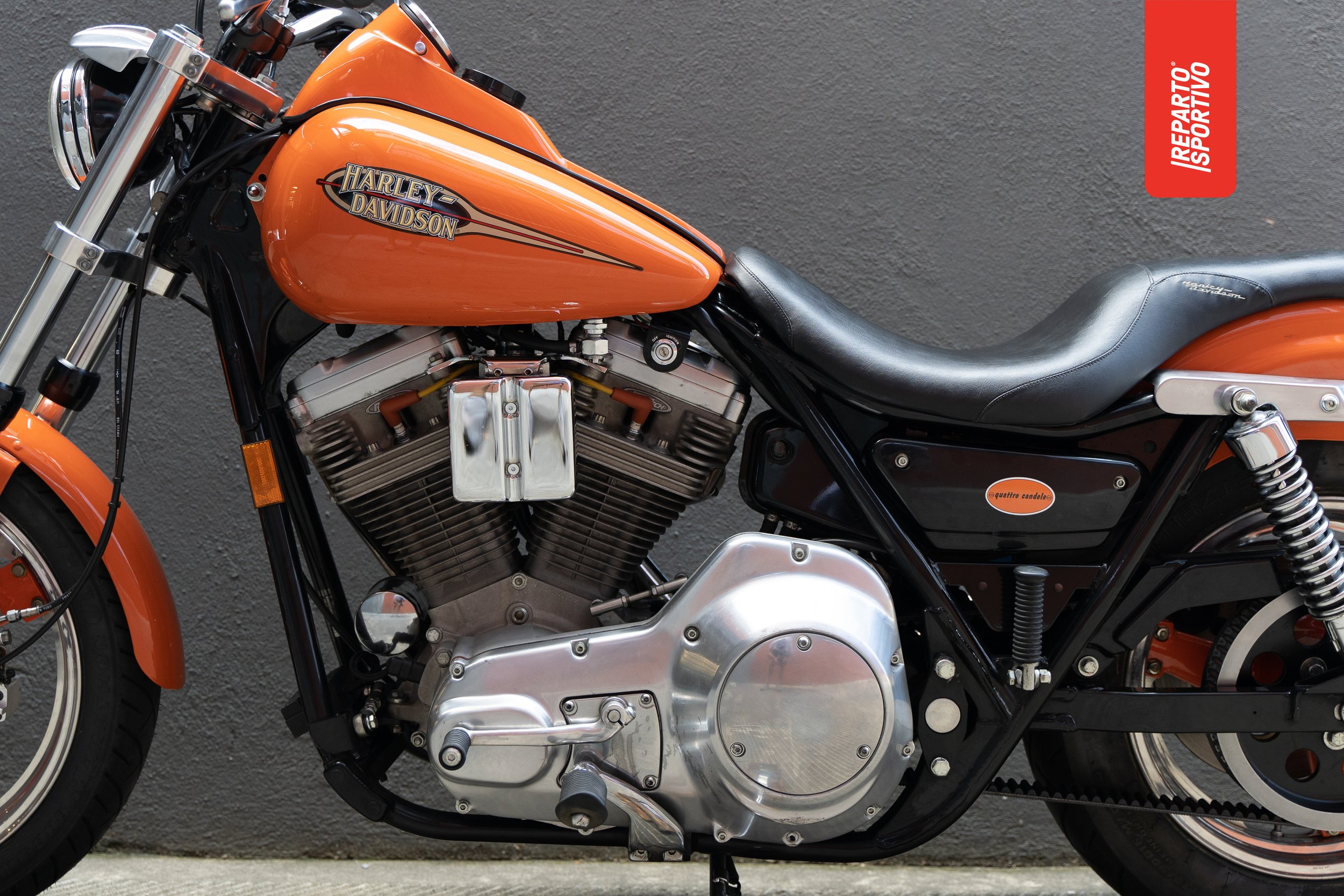 MAG09240.jpg