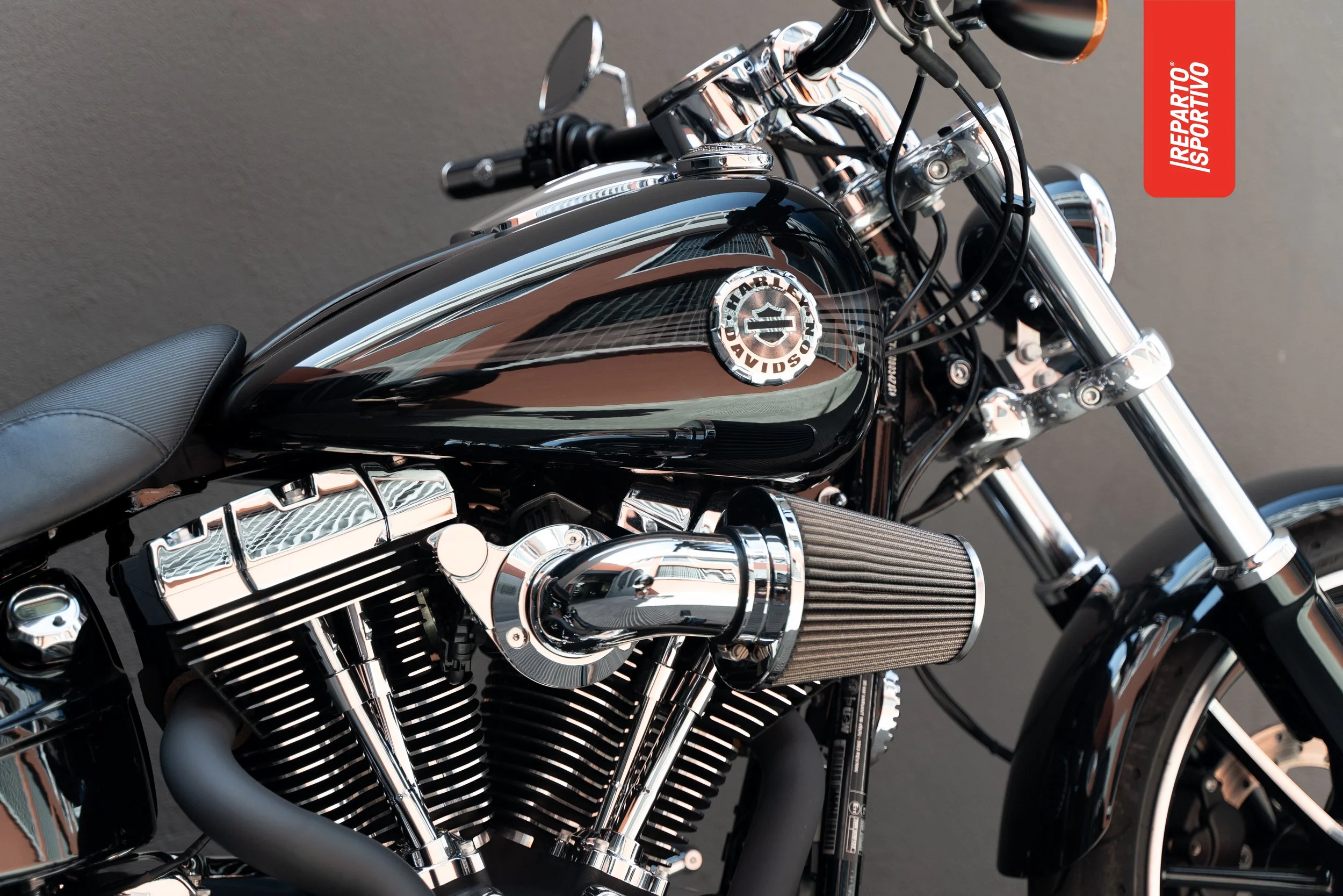 Reparto Sportivo ®-386.jpg