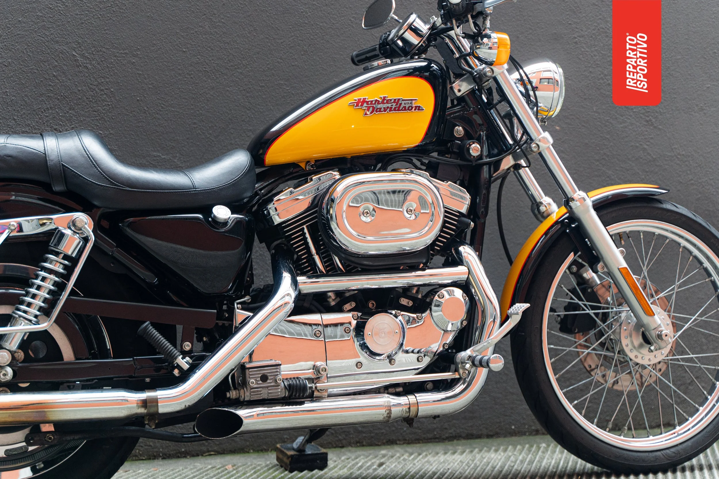 Reparto Sportivo ®-1292.jpg
