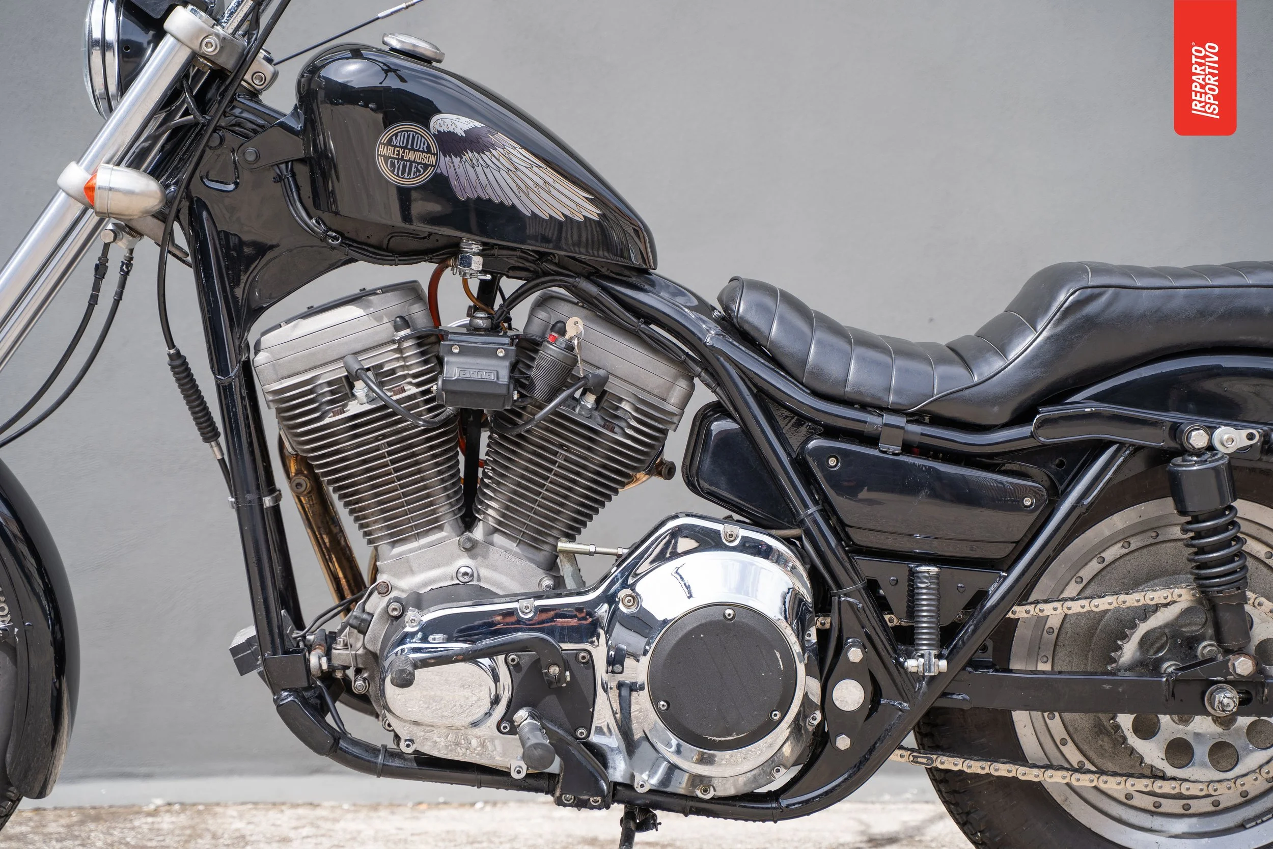 FXR_11.jpg