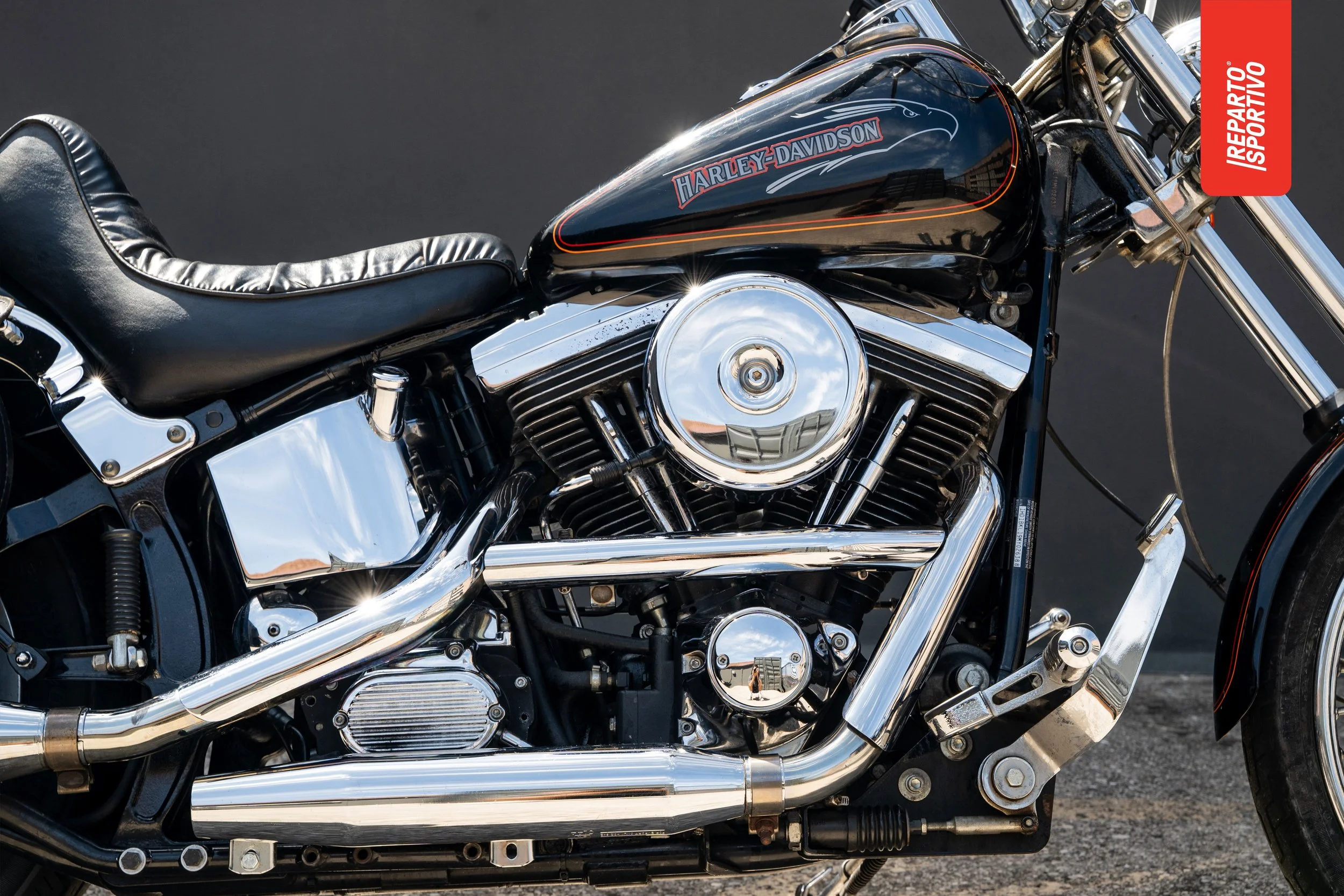 SOFTAIL_CUSTOM_03.jpg