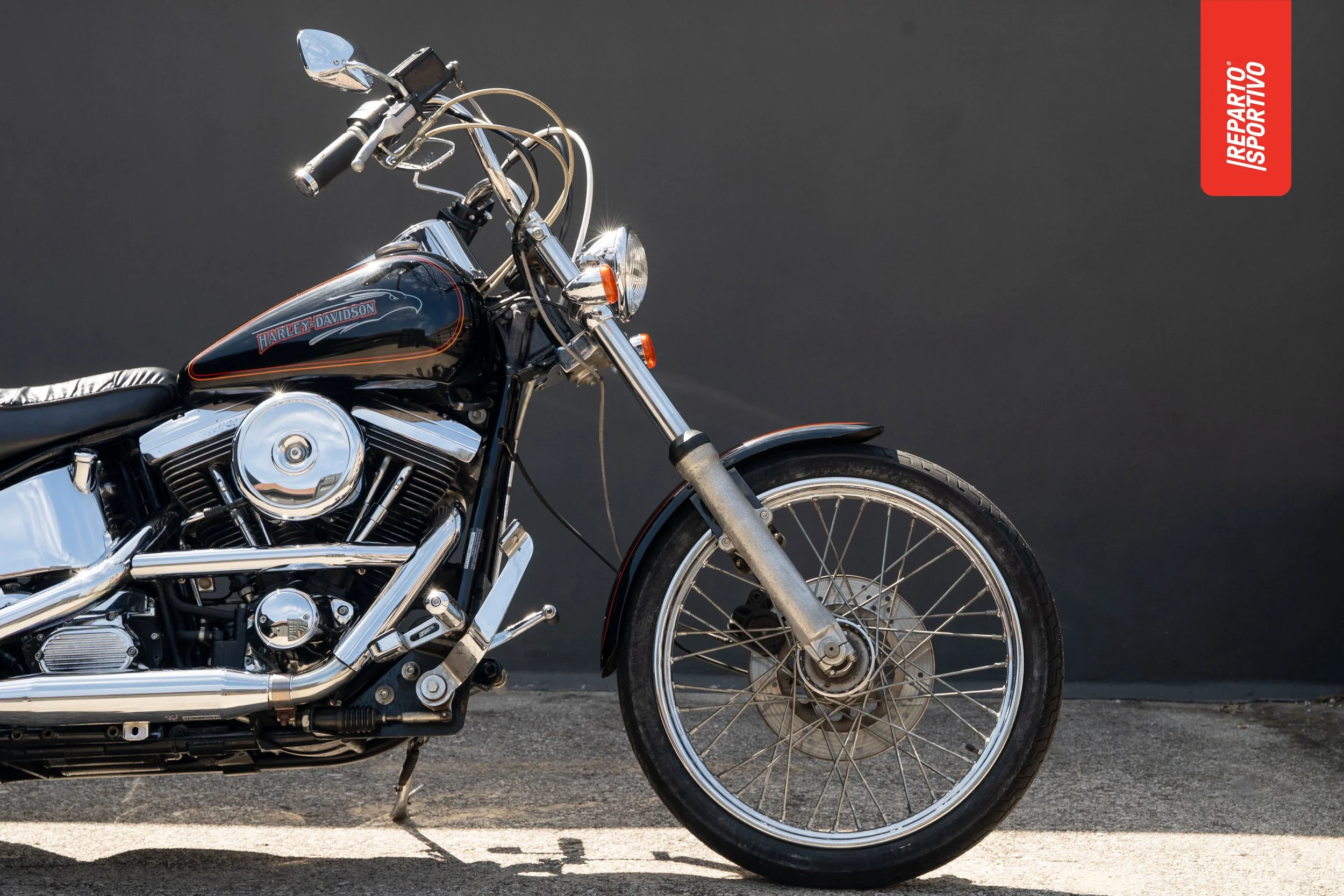 SOFTAIL_CUSTOM_04.jpg