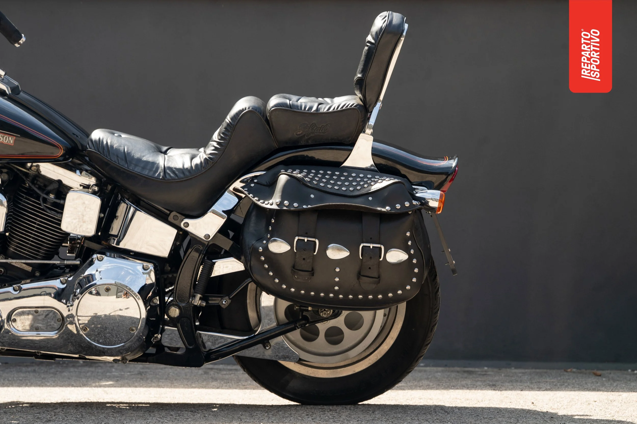 SOFTAIL_CUSTOM_11.jpg