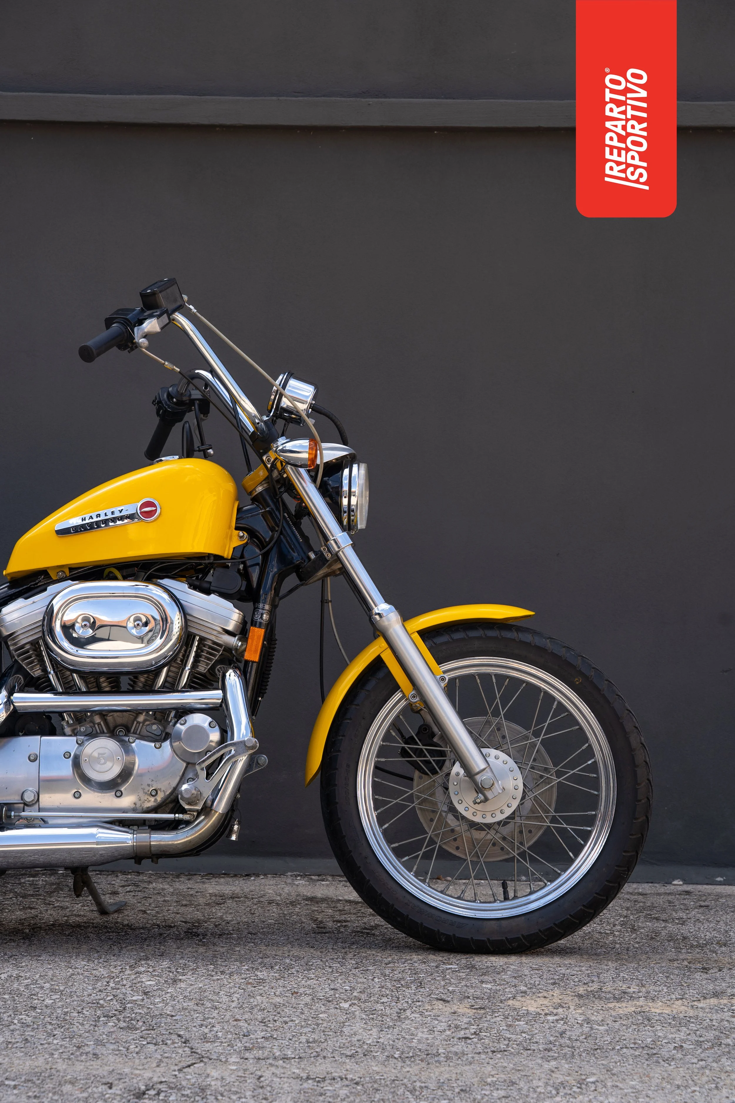 SPORTSTER_YELLOW_04.jpg