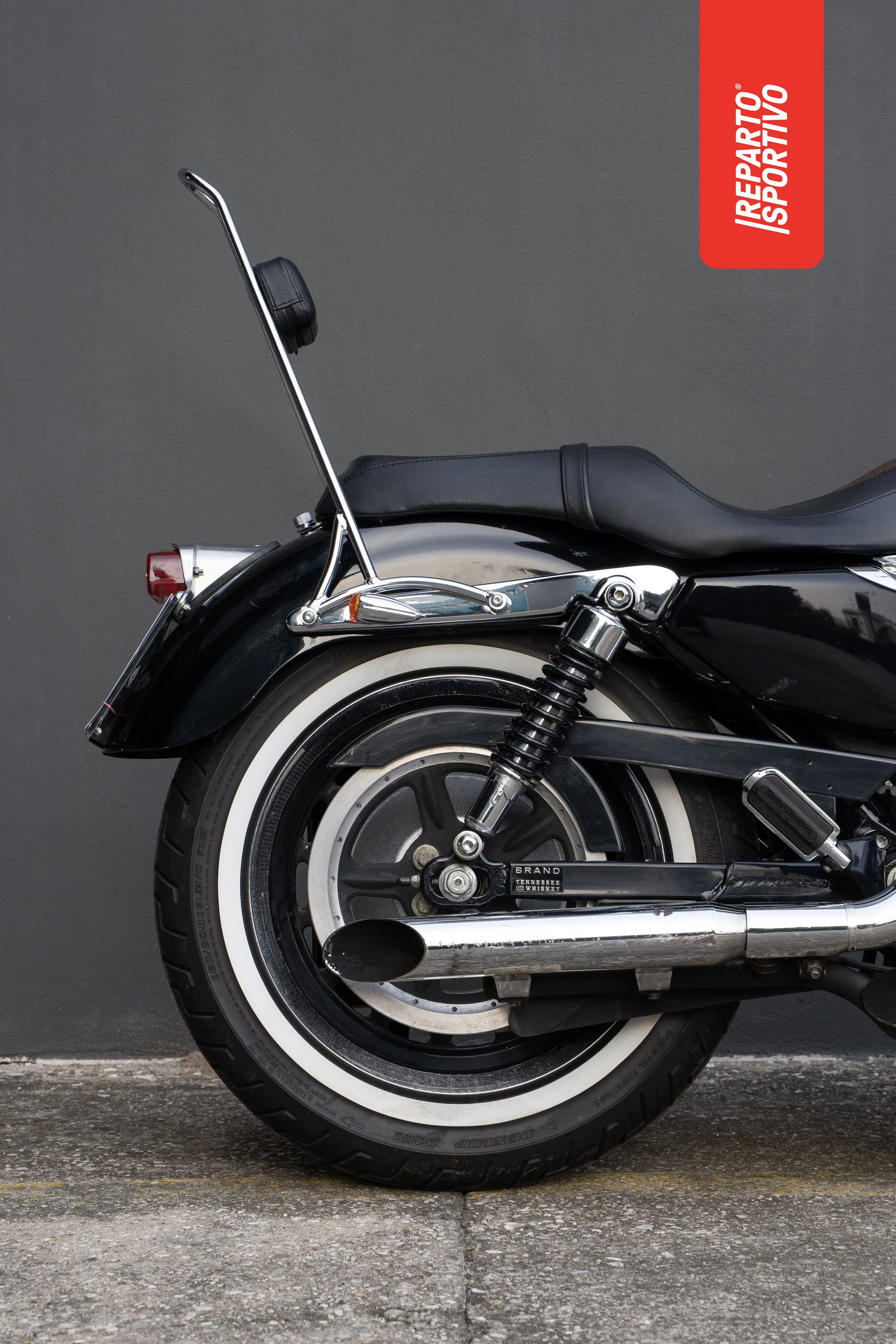 SPORTSTER_02.jpg
