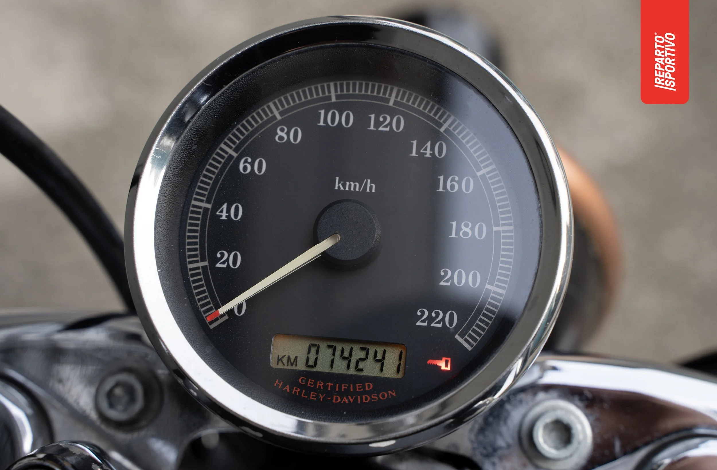 SPORTSTER_06.jpg