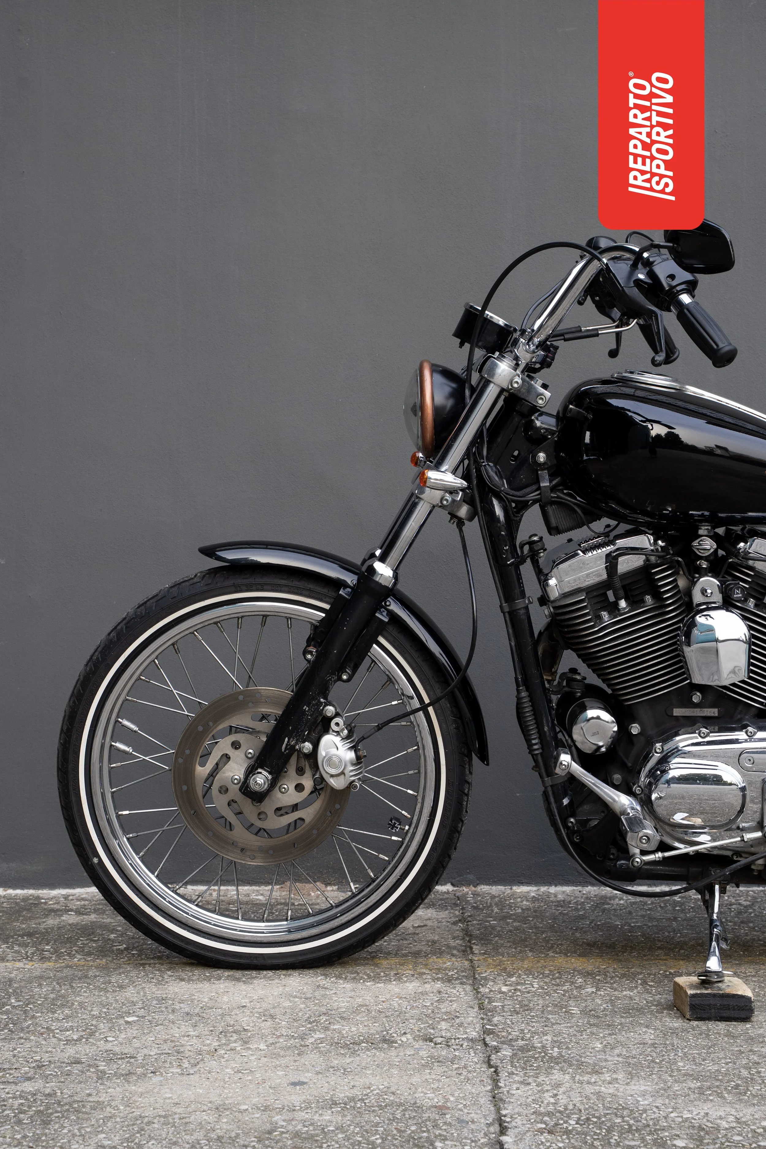SPORTSTER_10.jpg