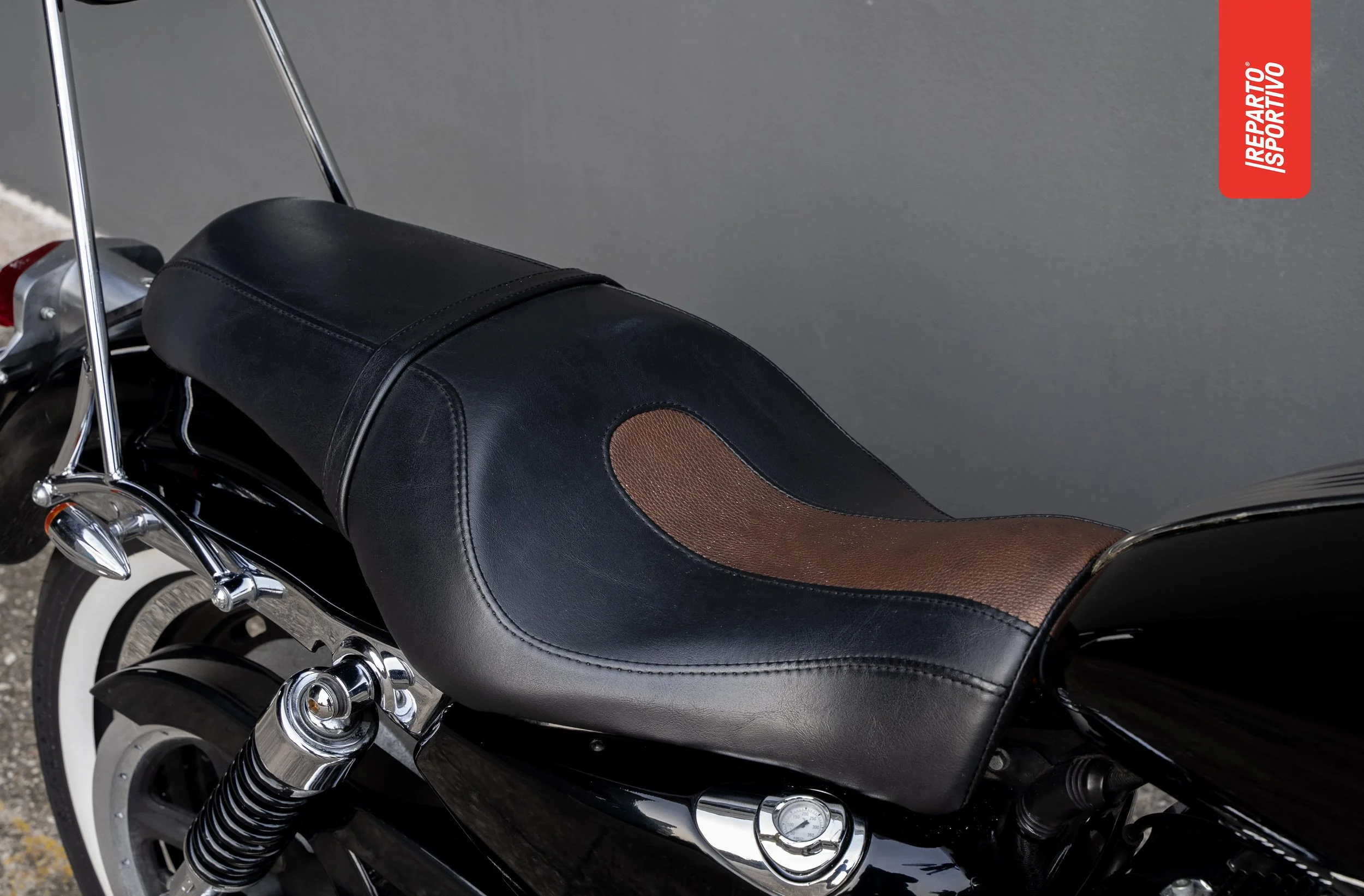 SPORTSTER_15.jpg