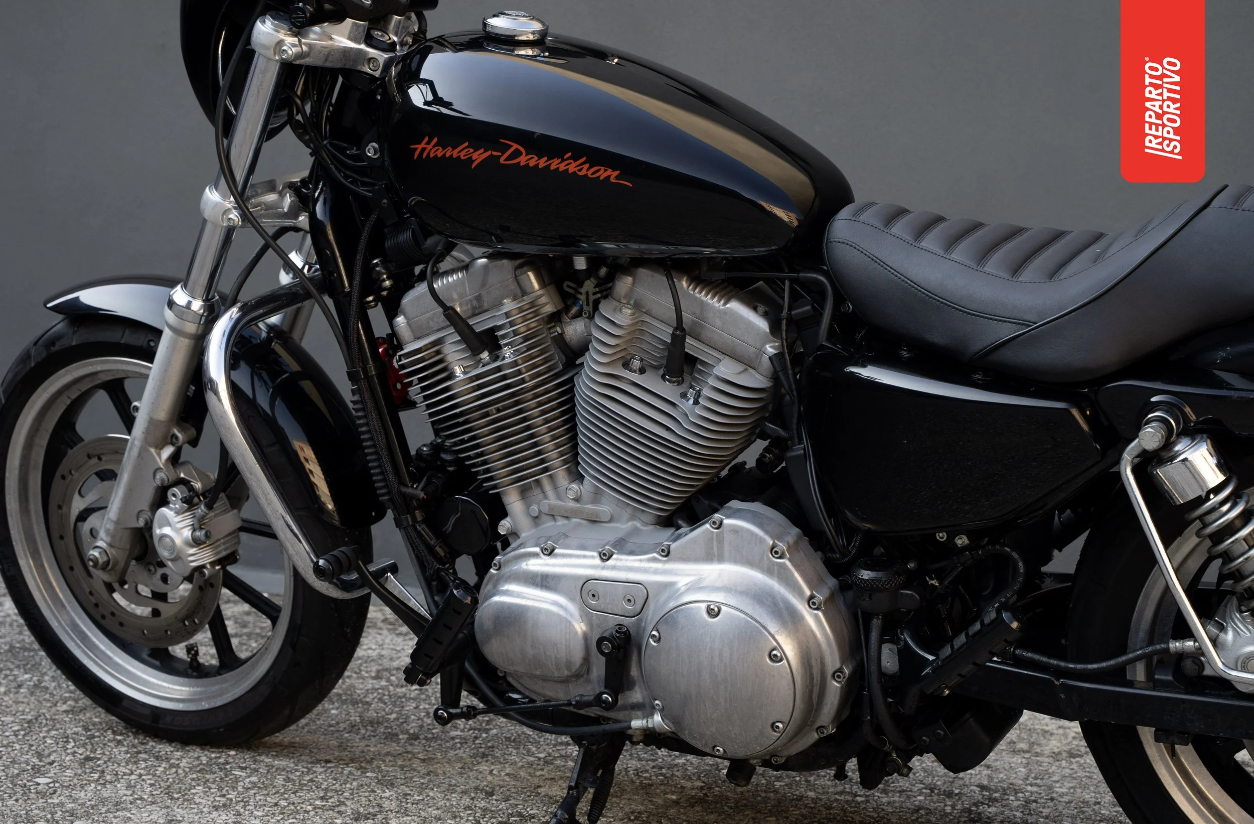 SPORTSTER_14.jpg