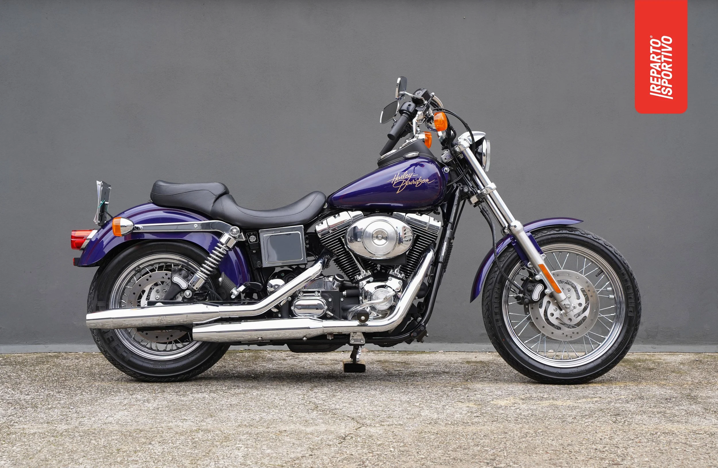 DYNA_01.jpg