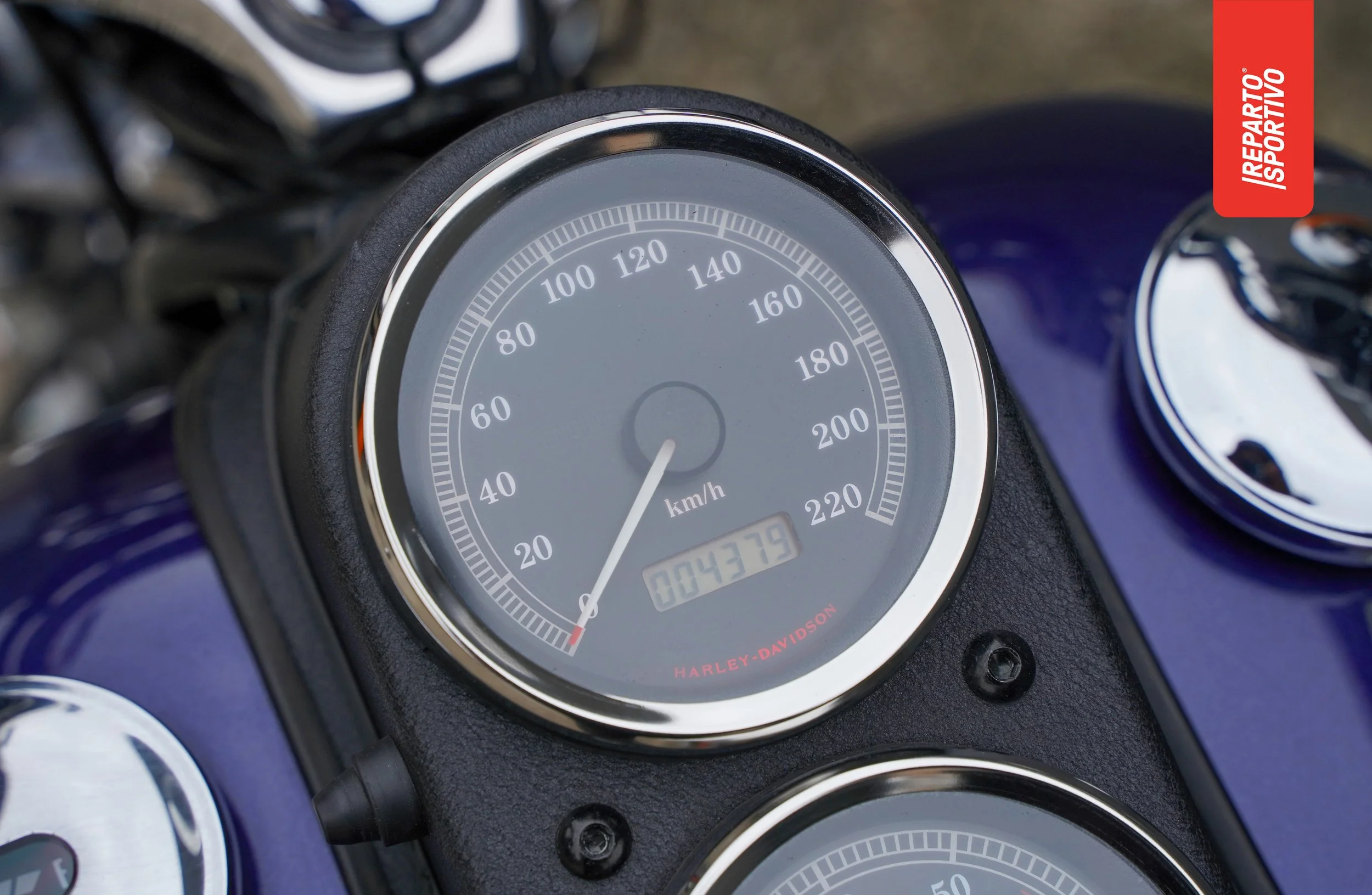 DYNA_07.jpg