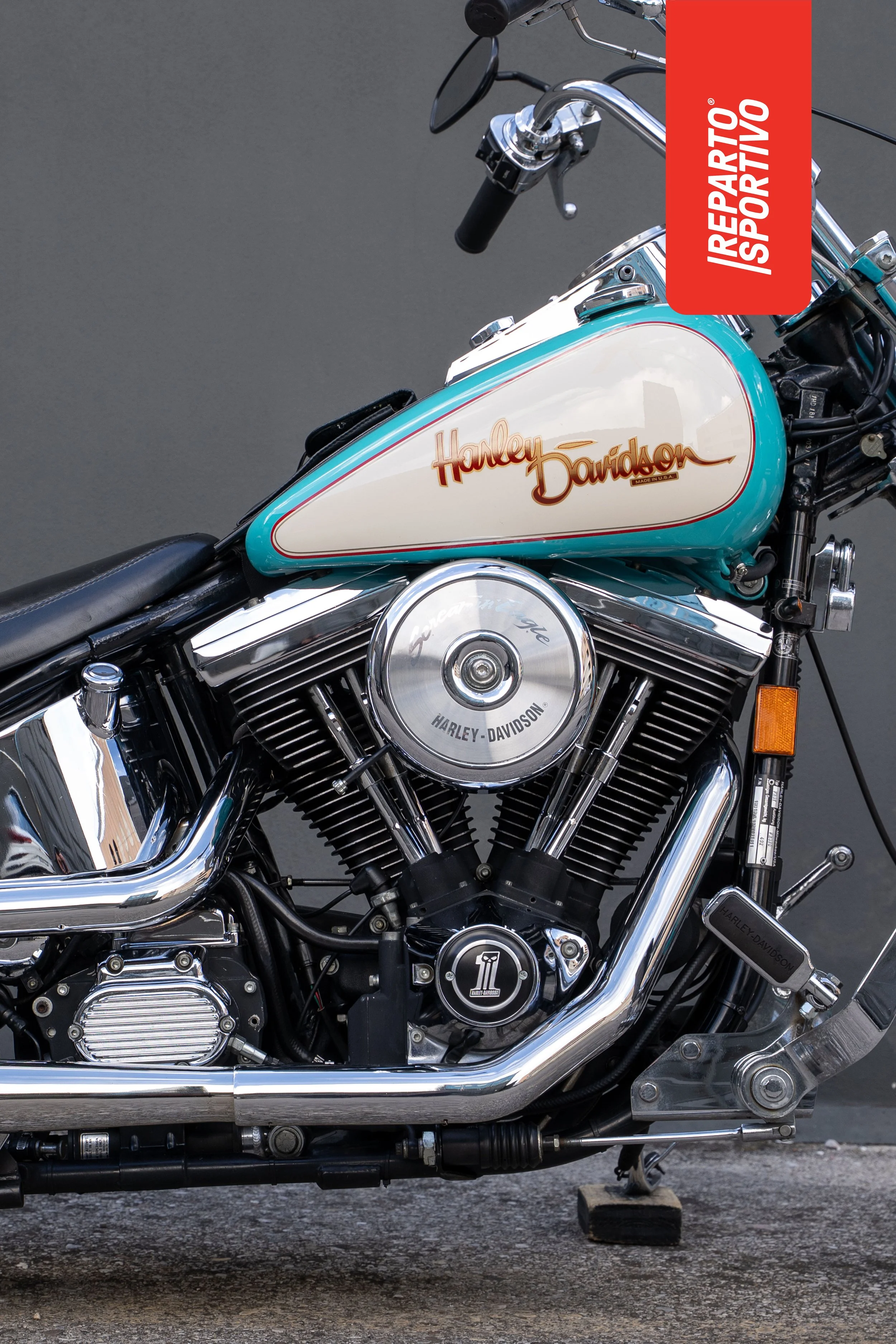 SOFTAIL_03.jpg