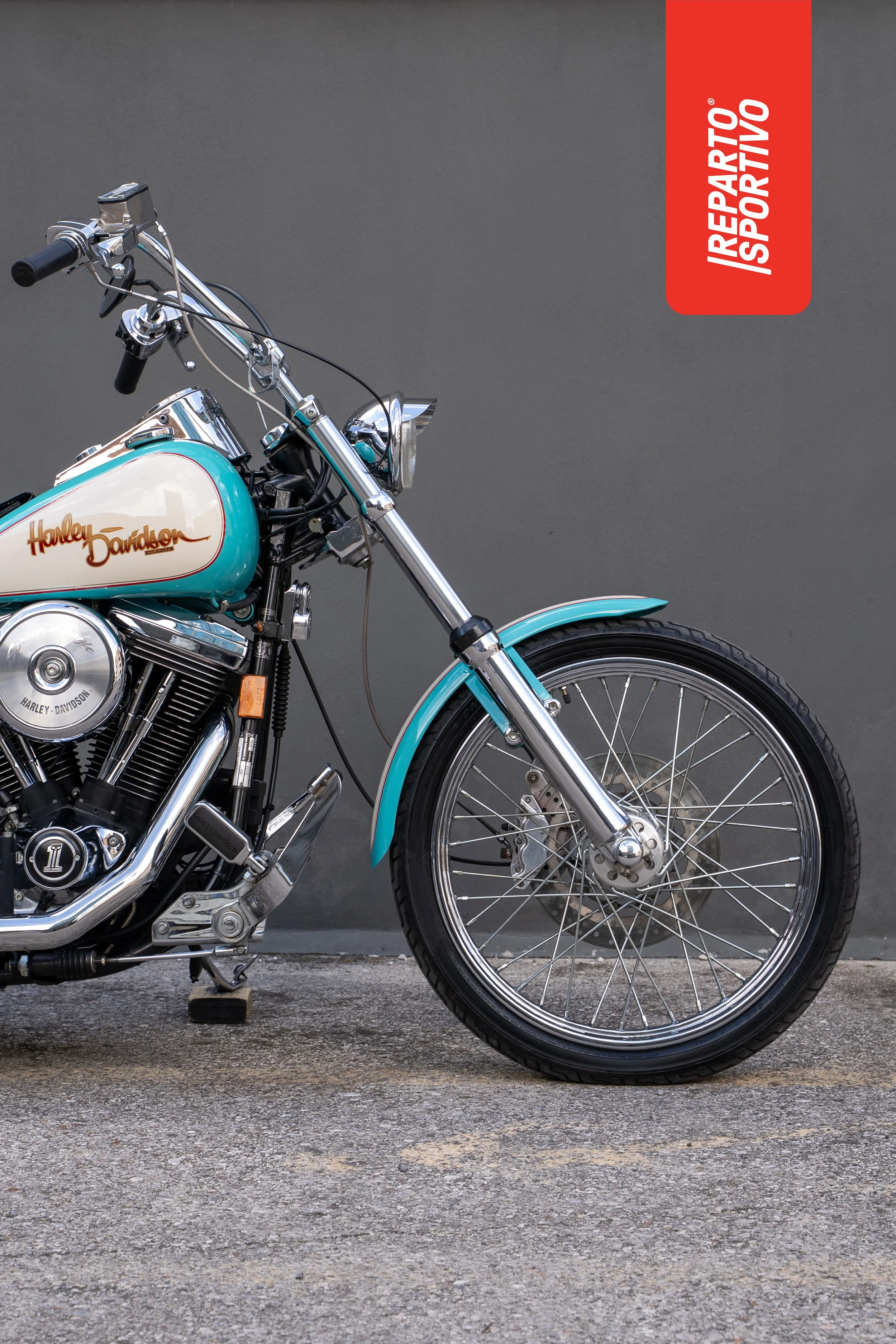 SOFTAIL_04.jpg