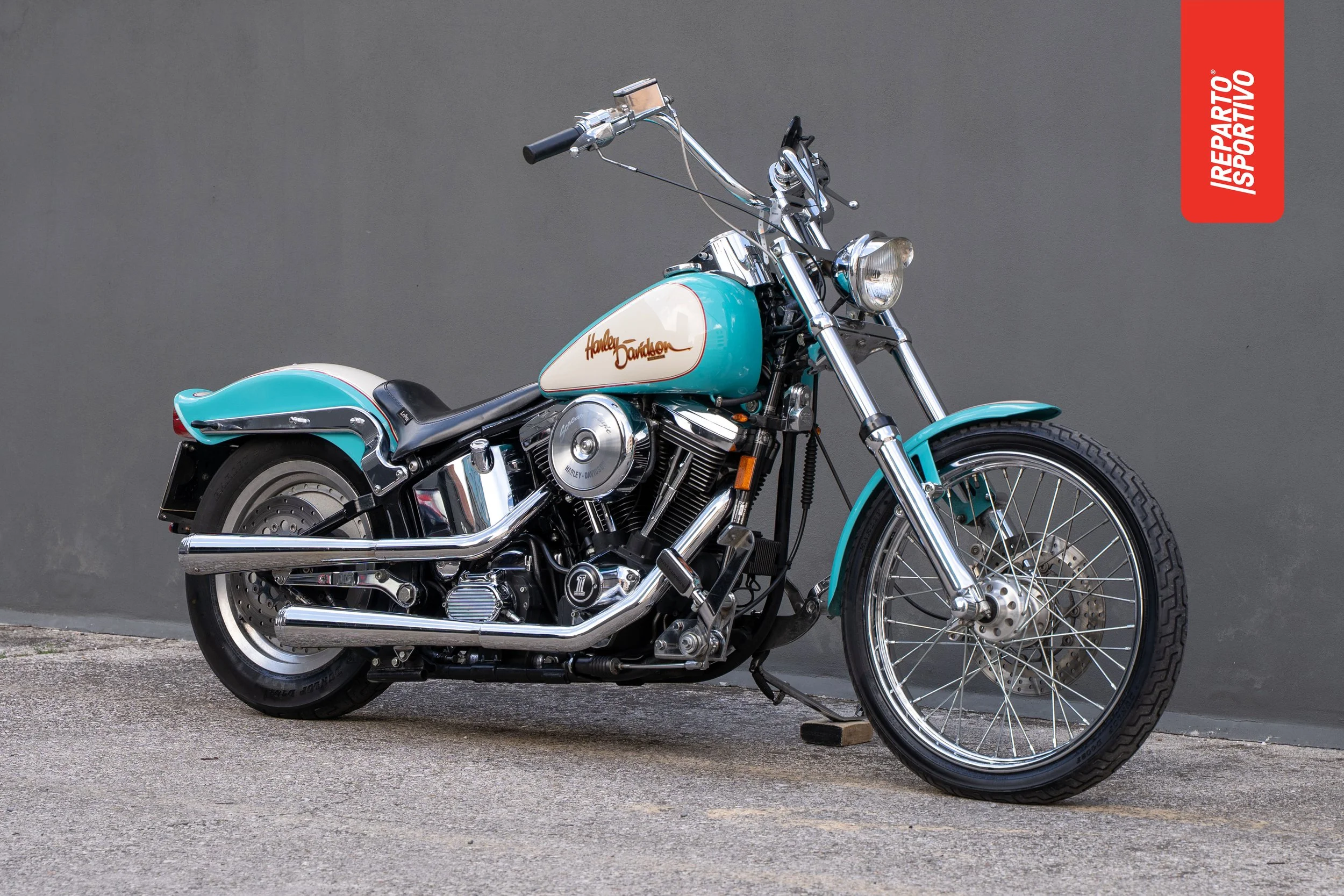 SOFTAIL_05.jpg