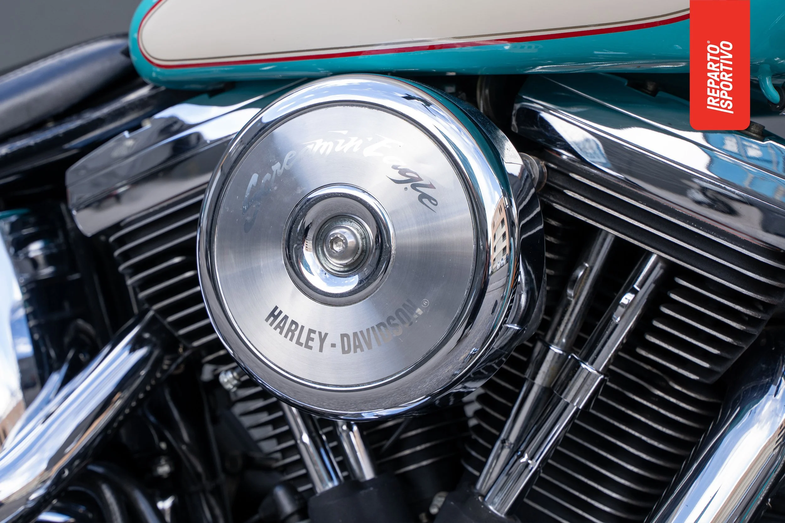 SOFTAIL_10.jpg