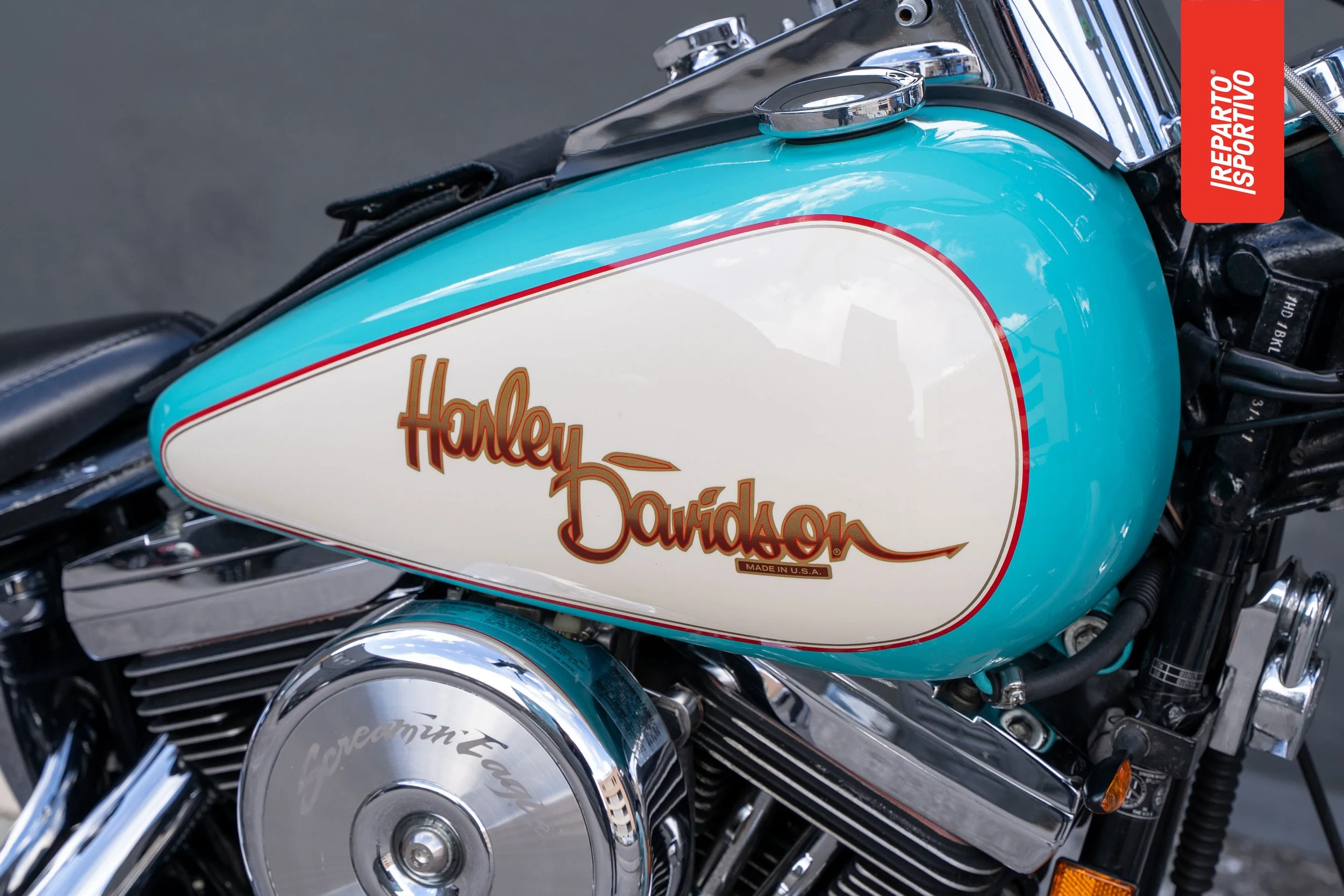 SOFTAIL_11.jpg
