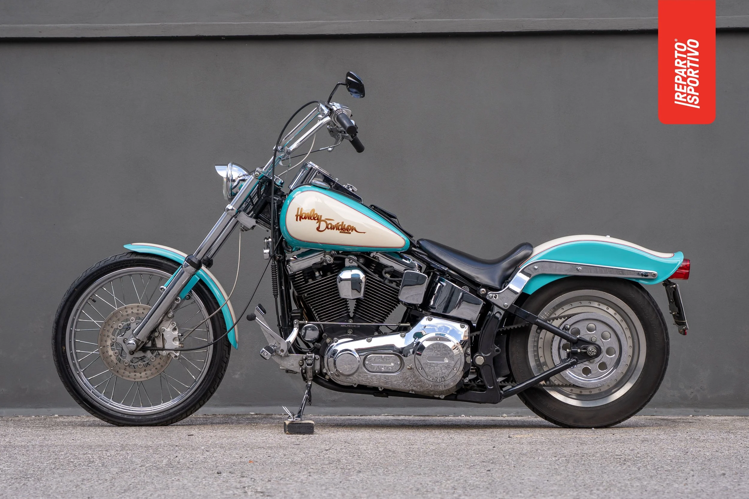 SOFTAIL_12.jpg