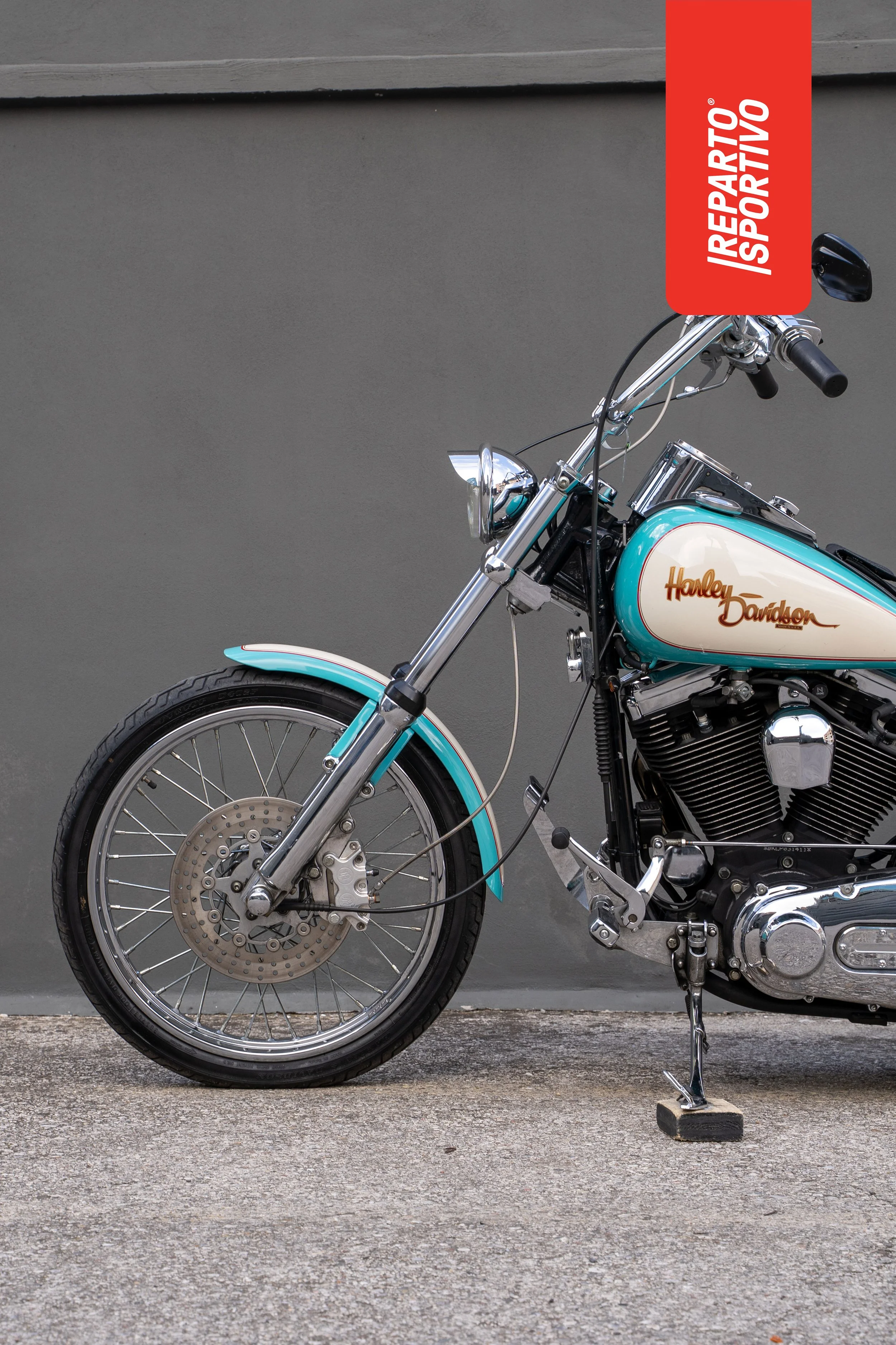 SOFTAIL_13.jpg