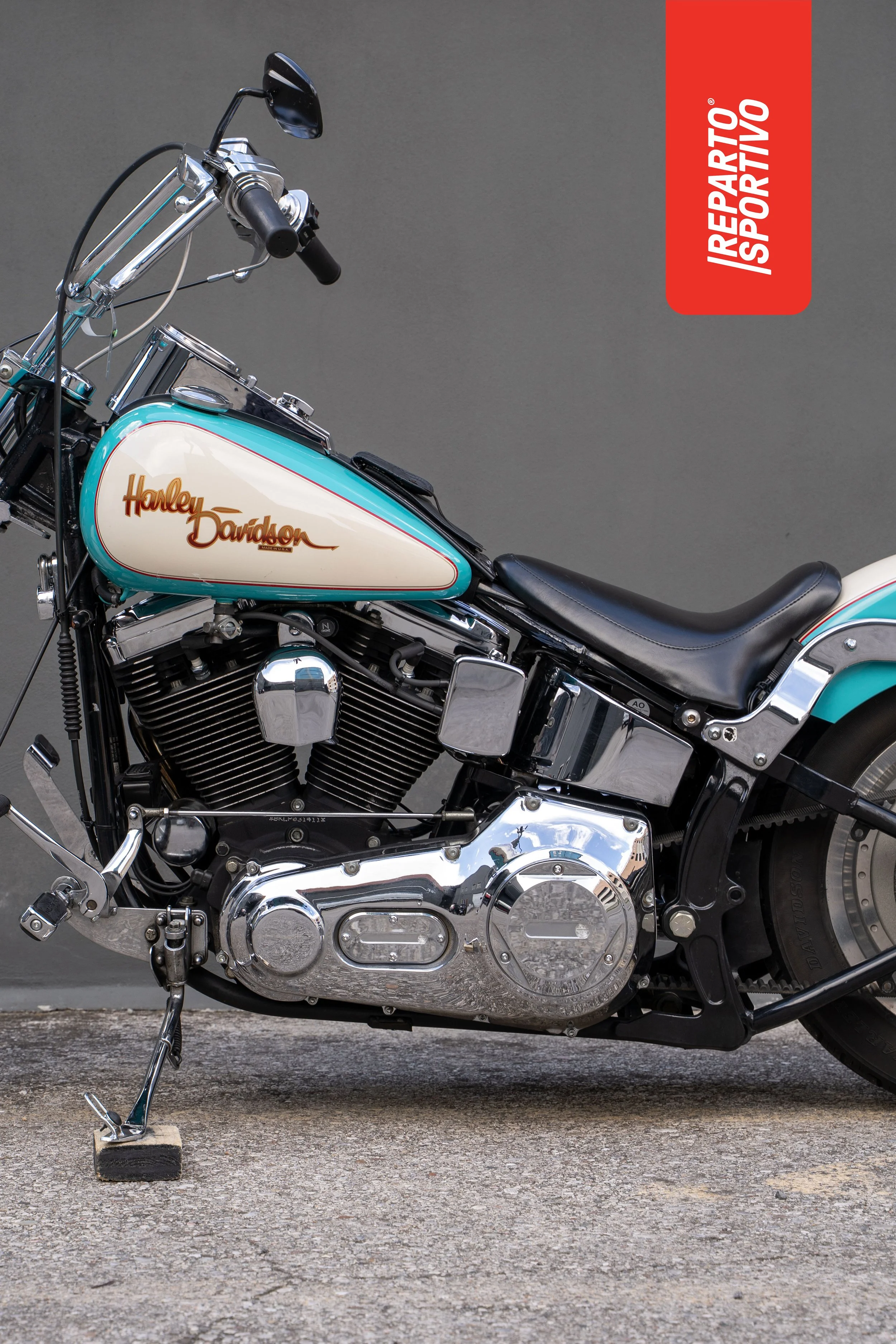 SOFTAIL_14.jpg