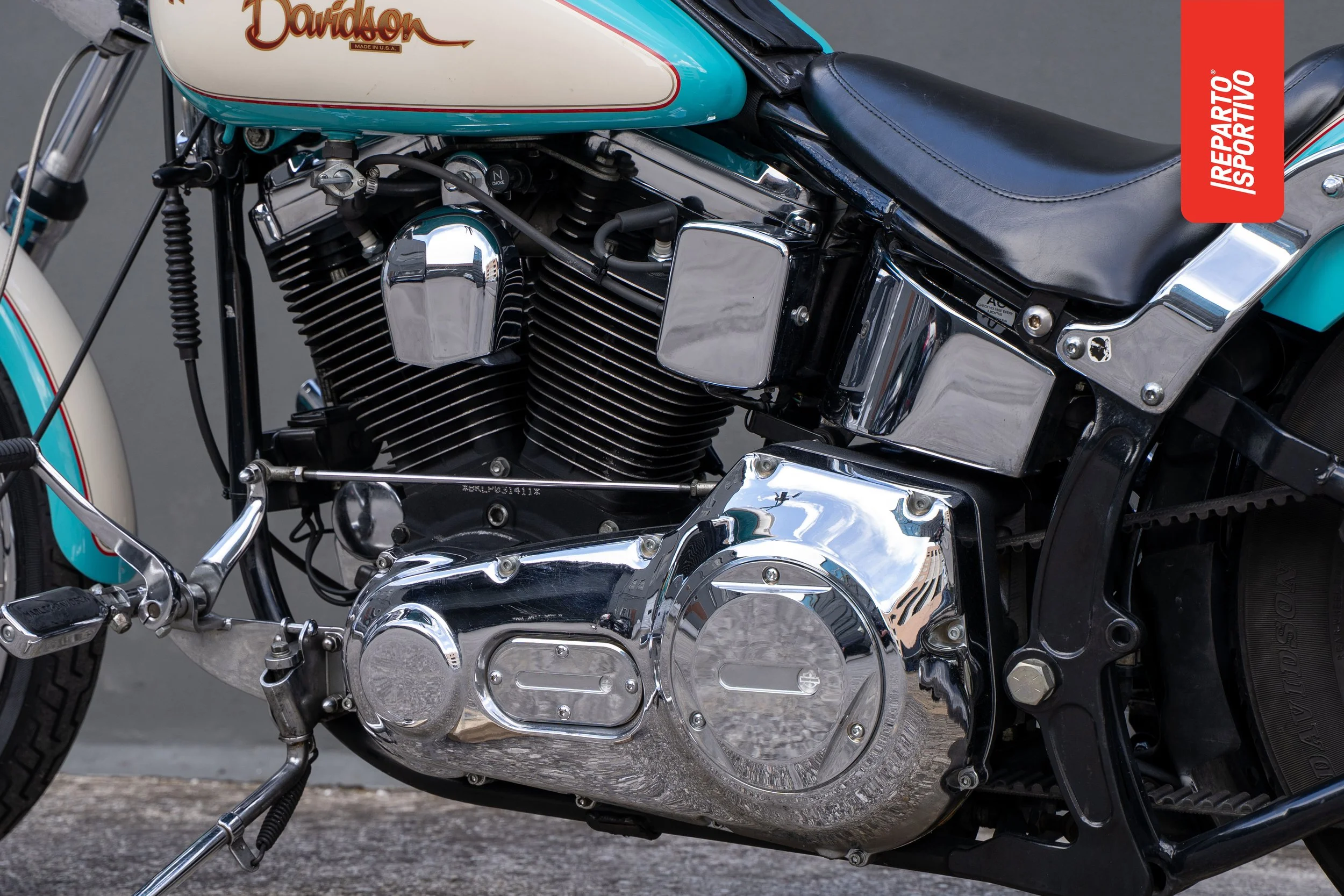 SOFTAIL_16.jpg