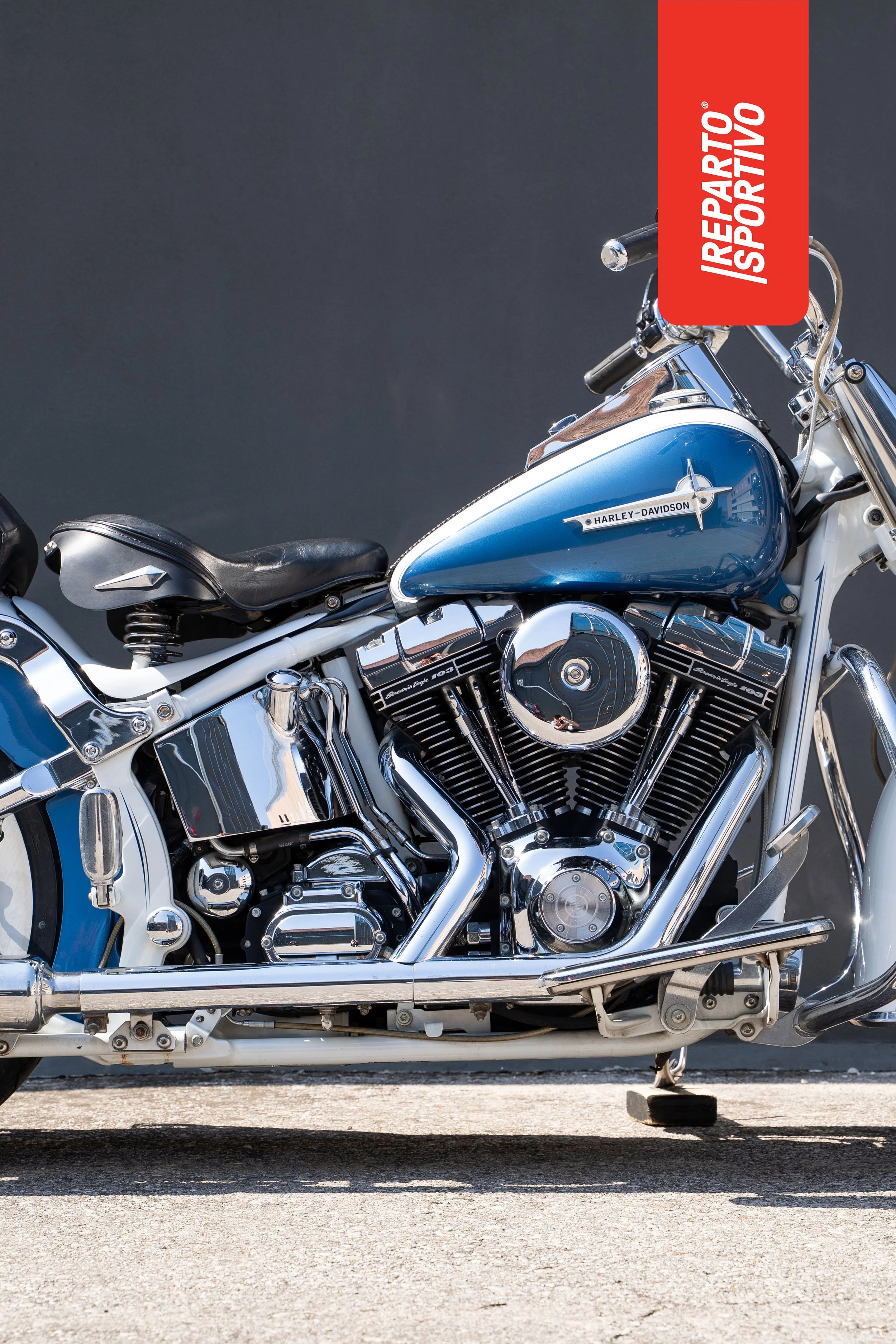 SOFTAIL_03.jpg
