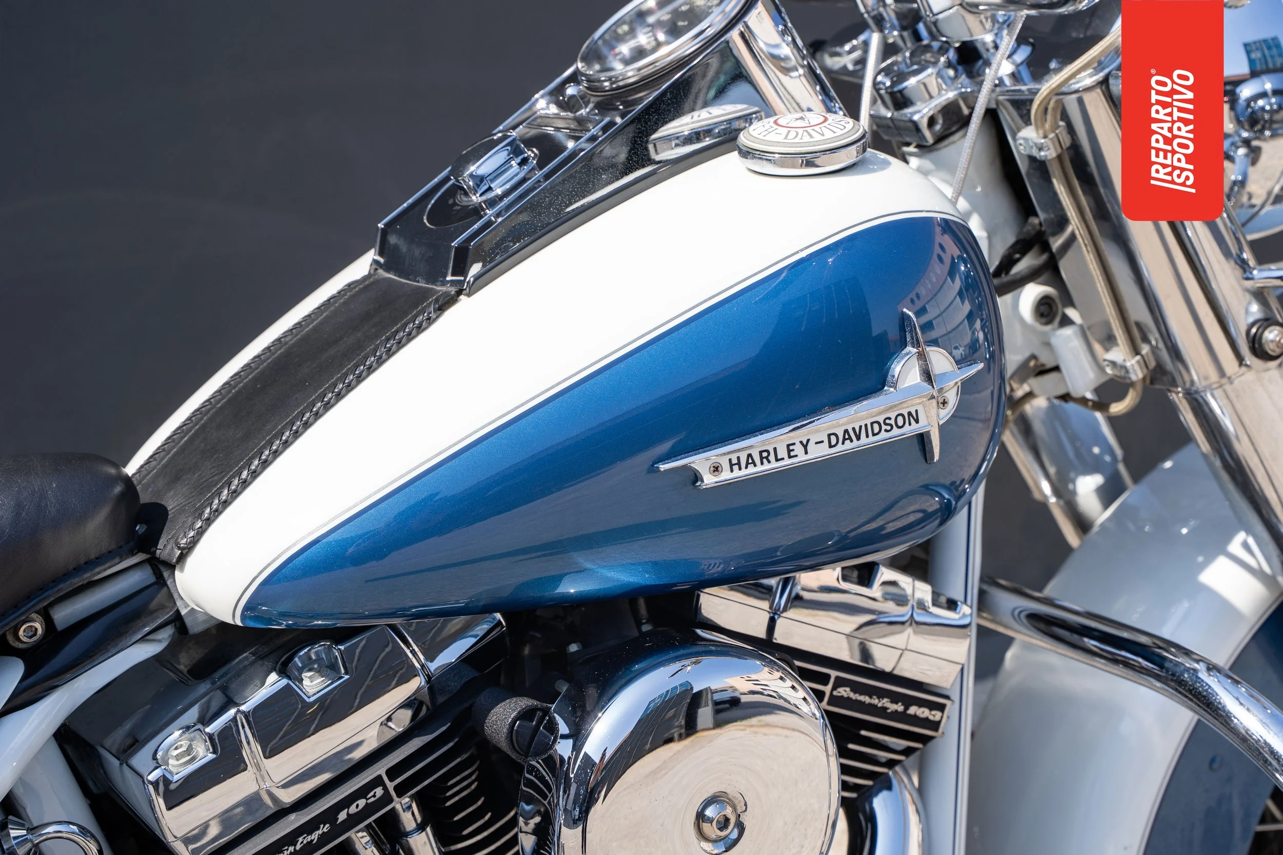 SOFTAIL_09.jpg