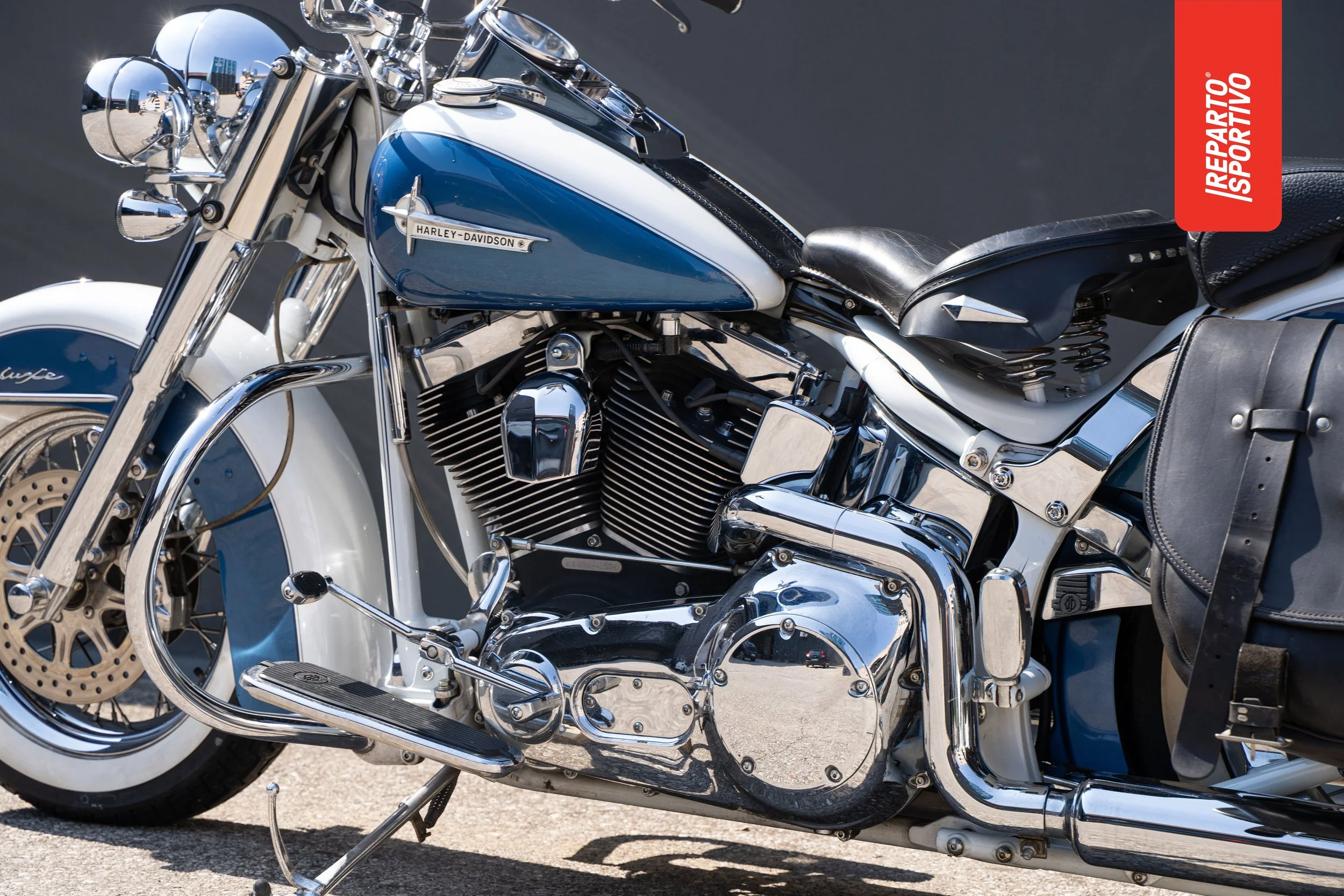 SOFTAIL_17.jpg