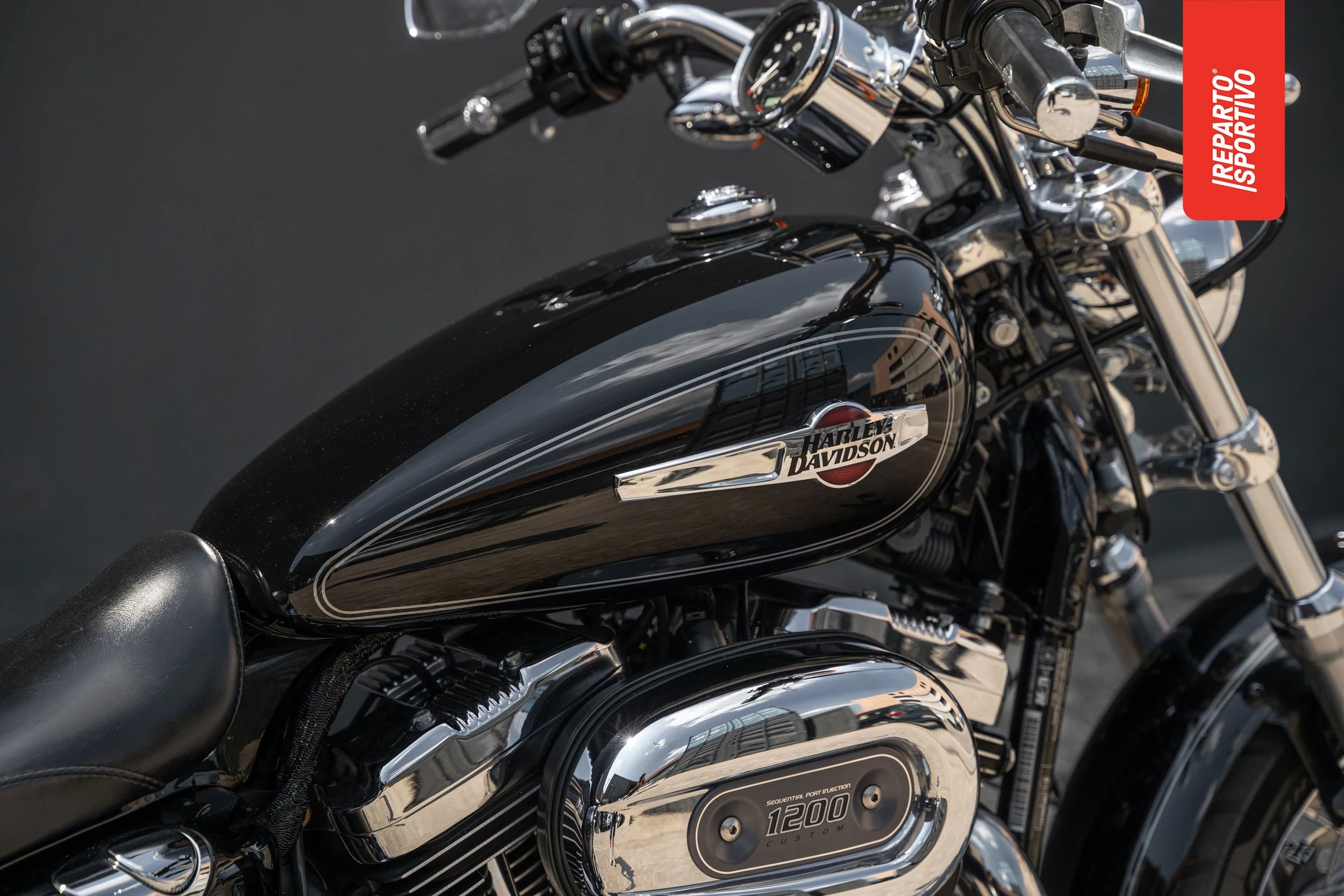 SPORTSTER_06.jpg