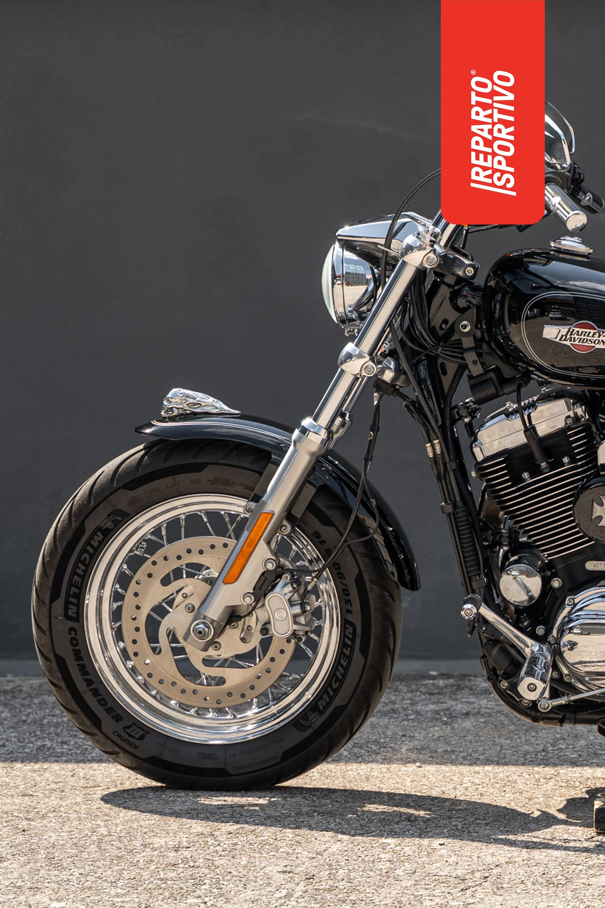 SPORTSTER_11.jpg