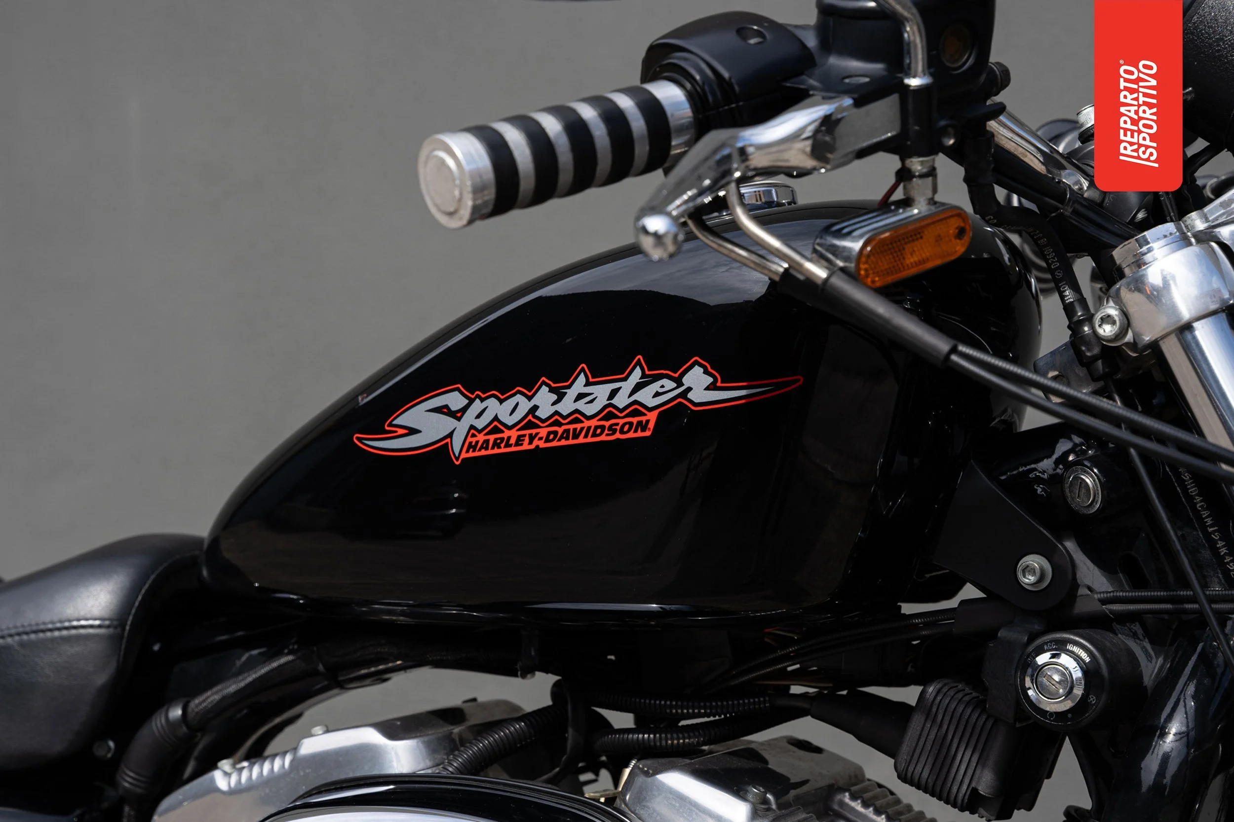 SPORTSTER_10.jpg