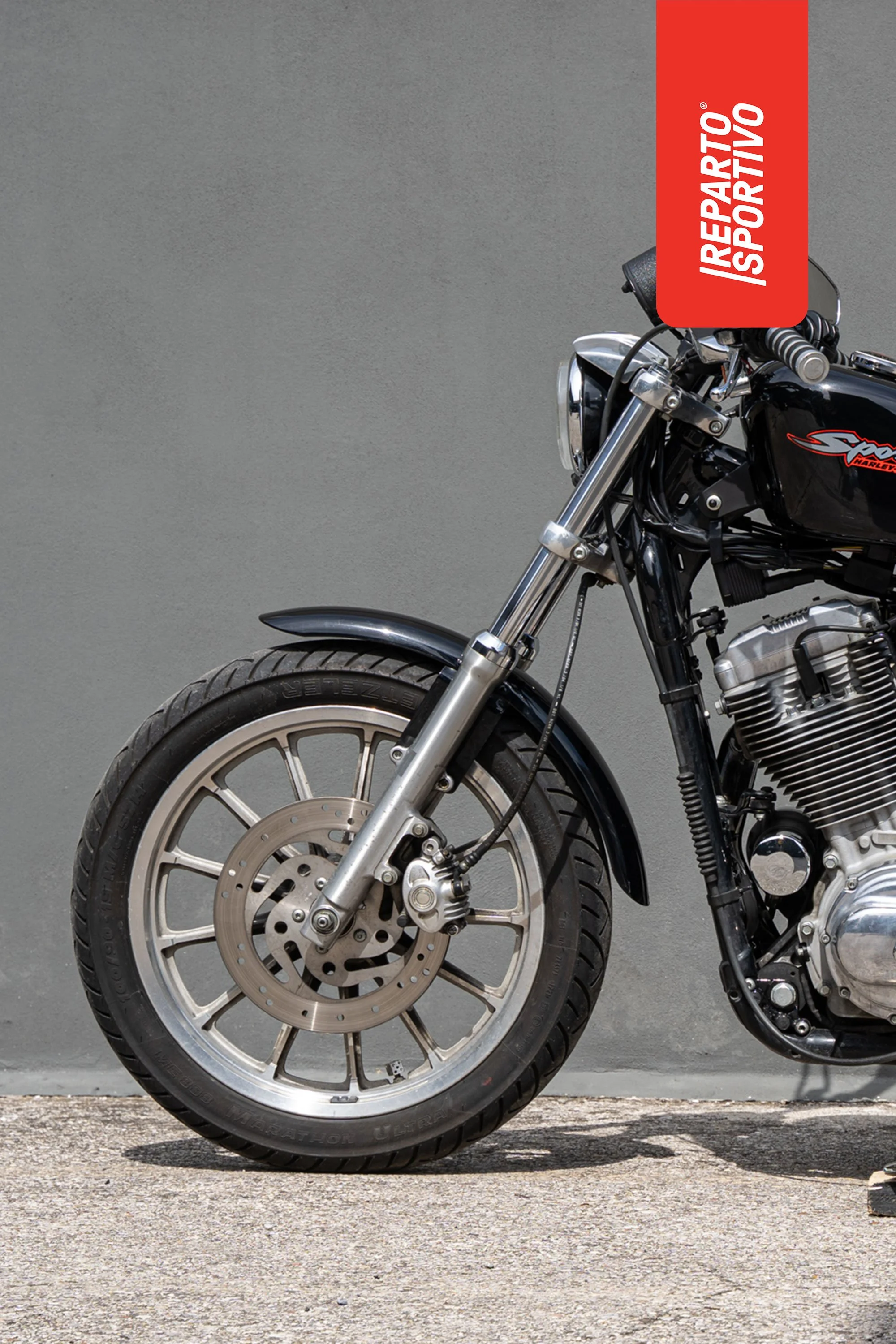 SPORTSTER_12.jpg