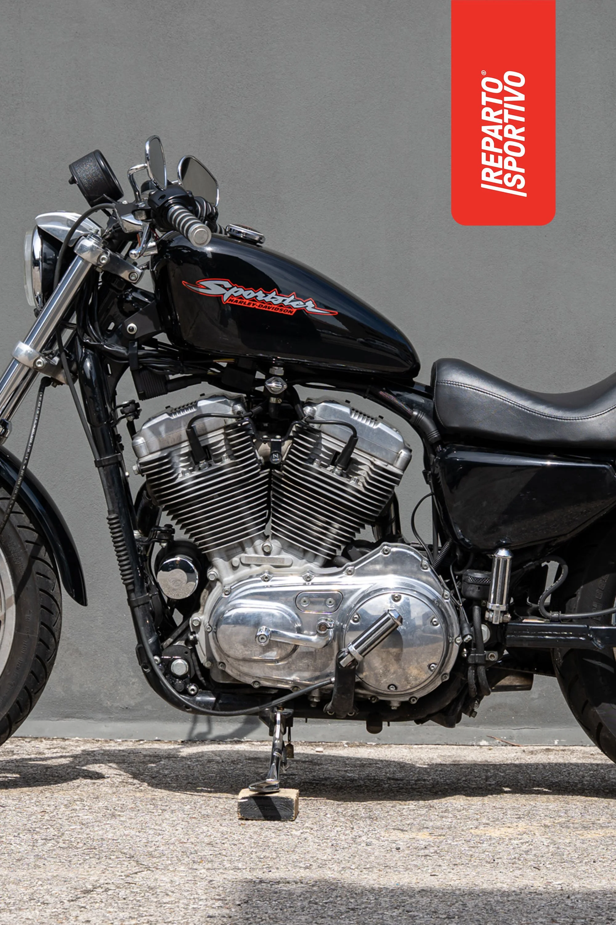 SPORTSTER_13.jpg