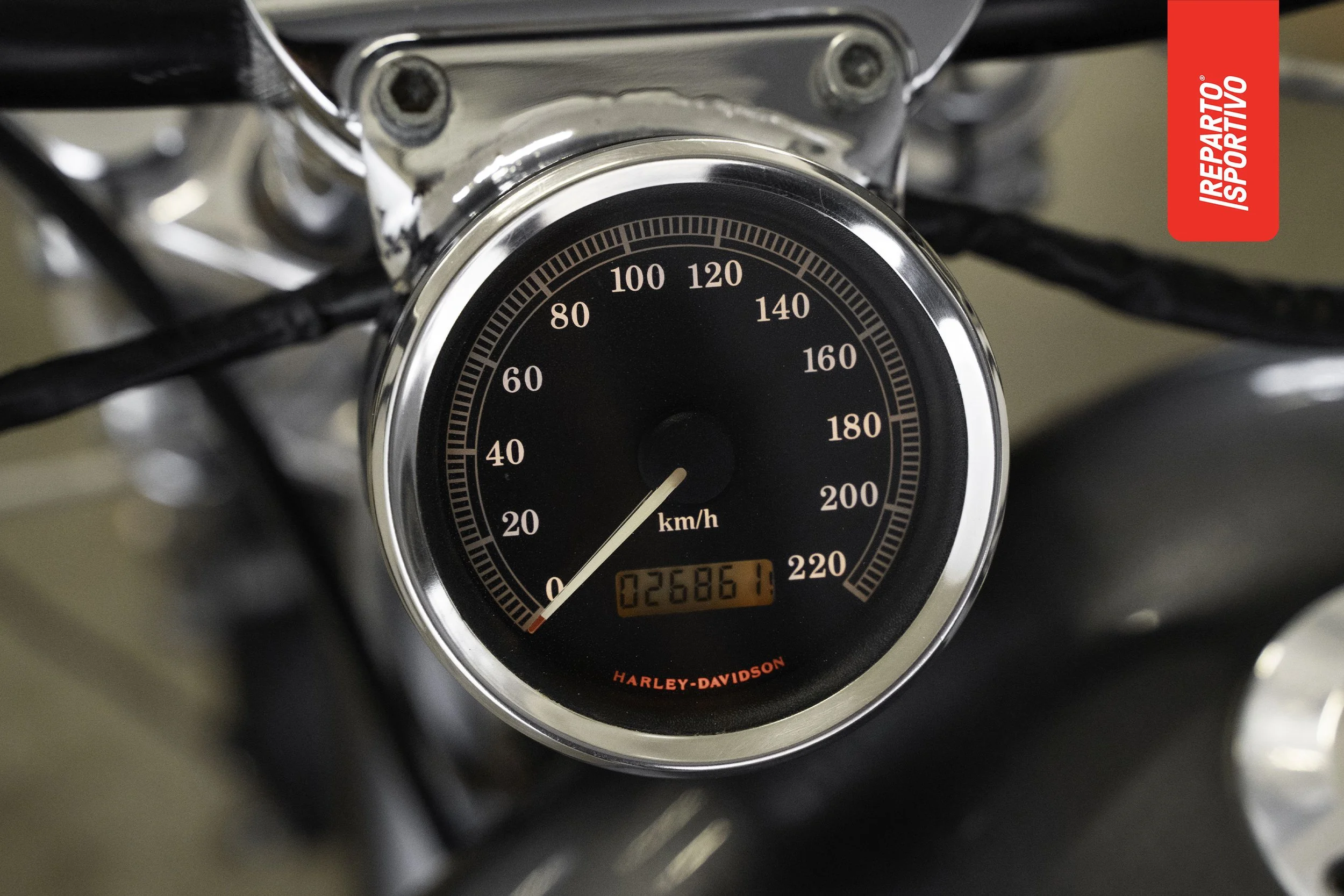 SPORTSTER_07.jpg