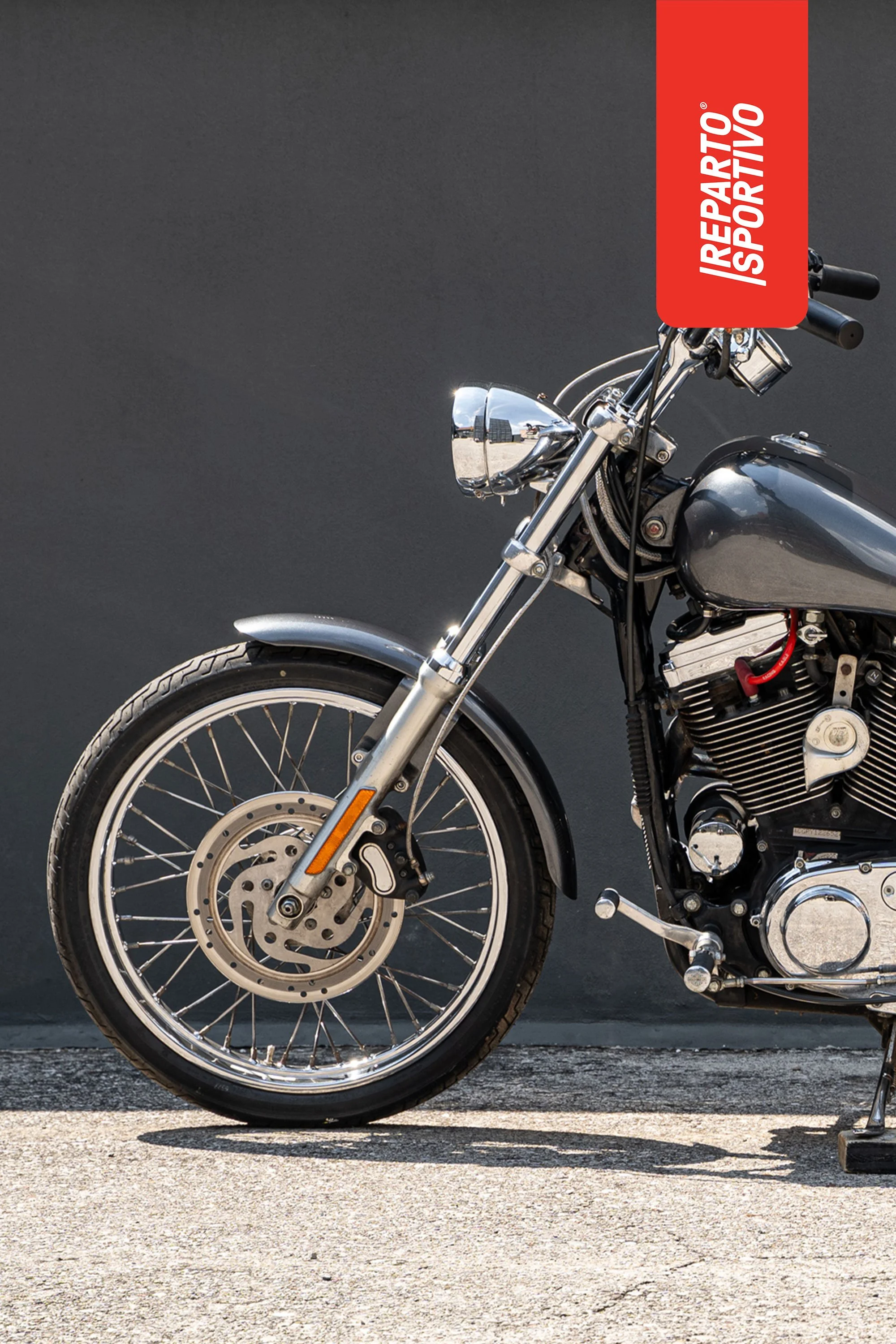 SPORTSTER_10.jpg