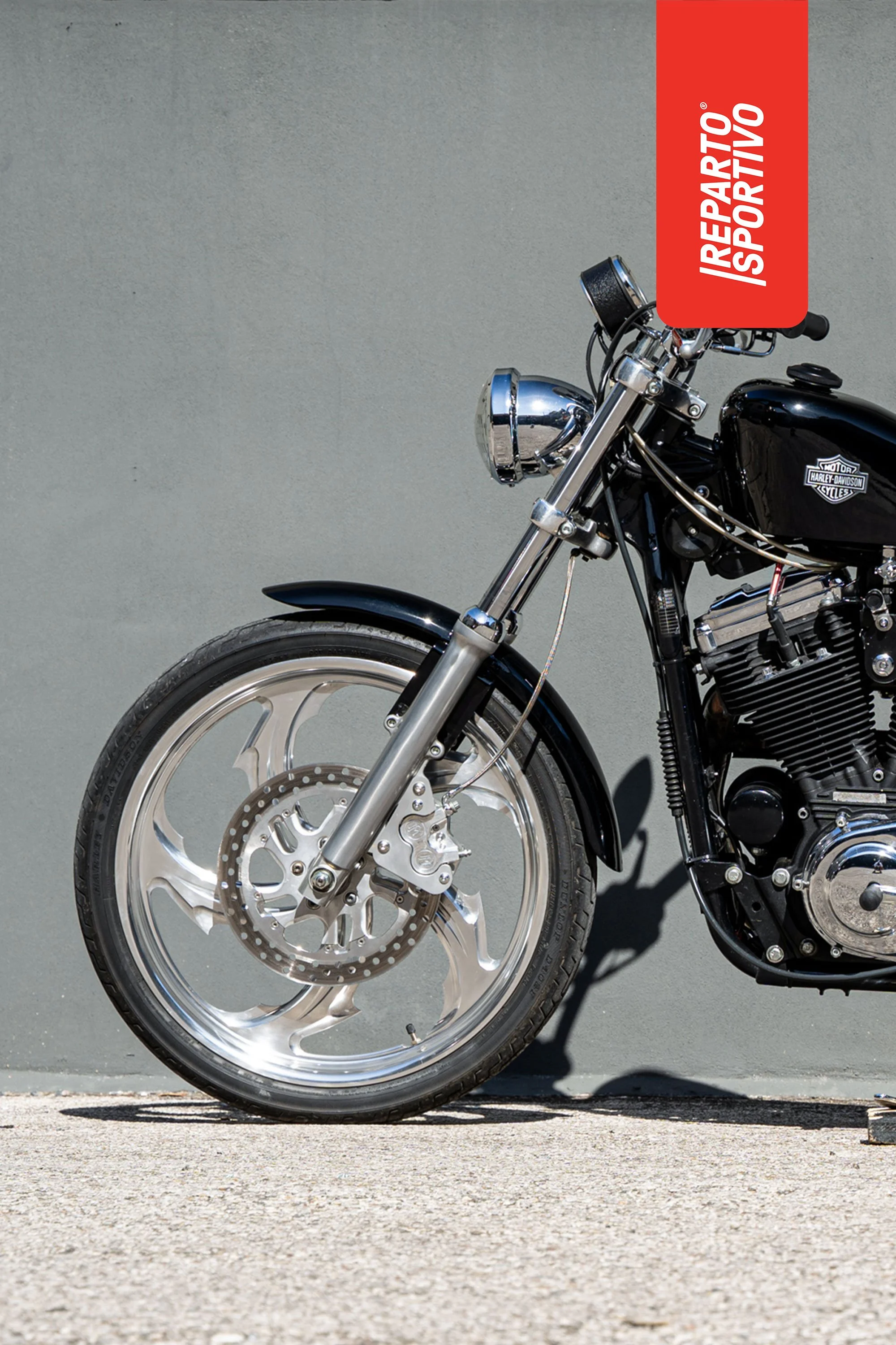 SPORTSTER_11.jpg