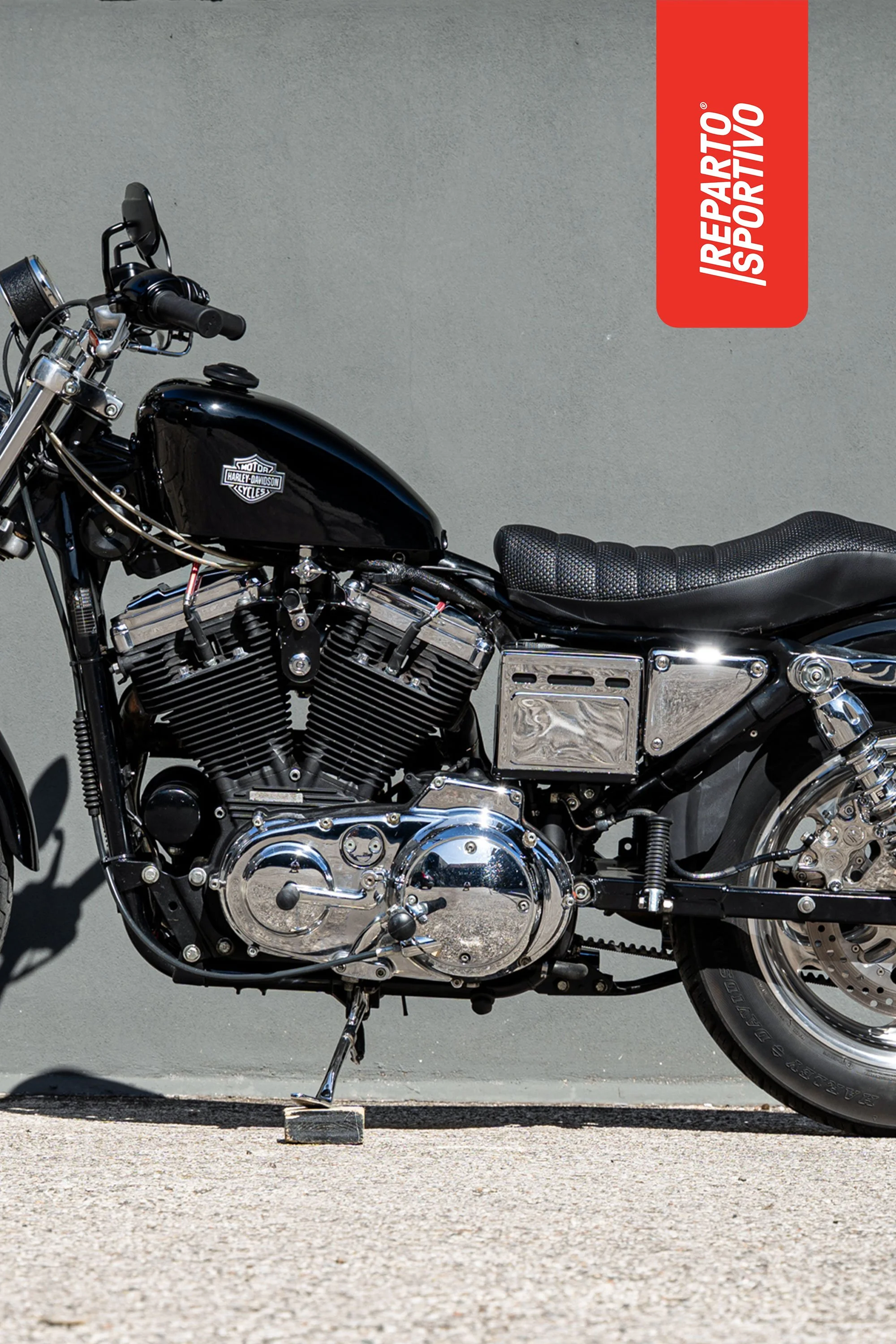 SPORTSTER_12.jpg