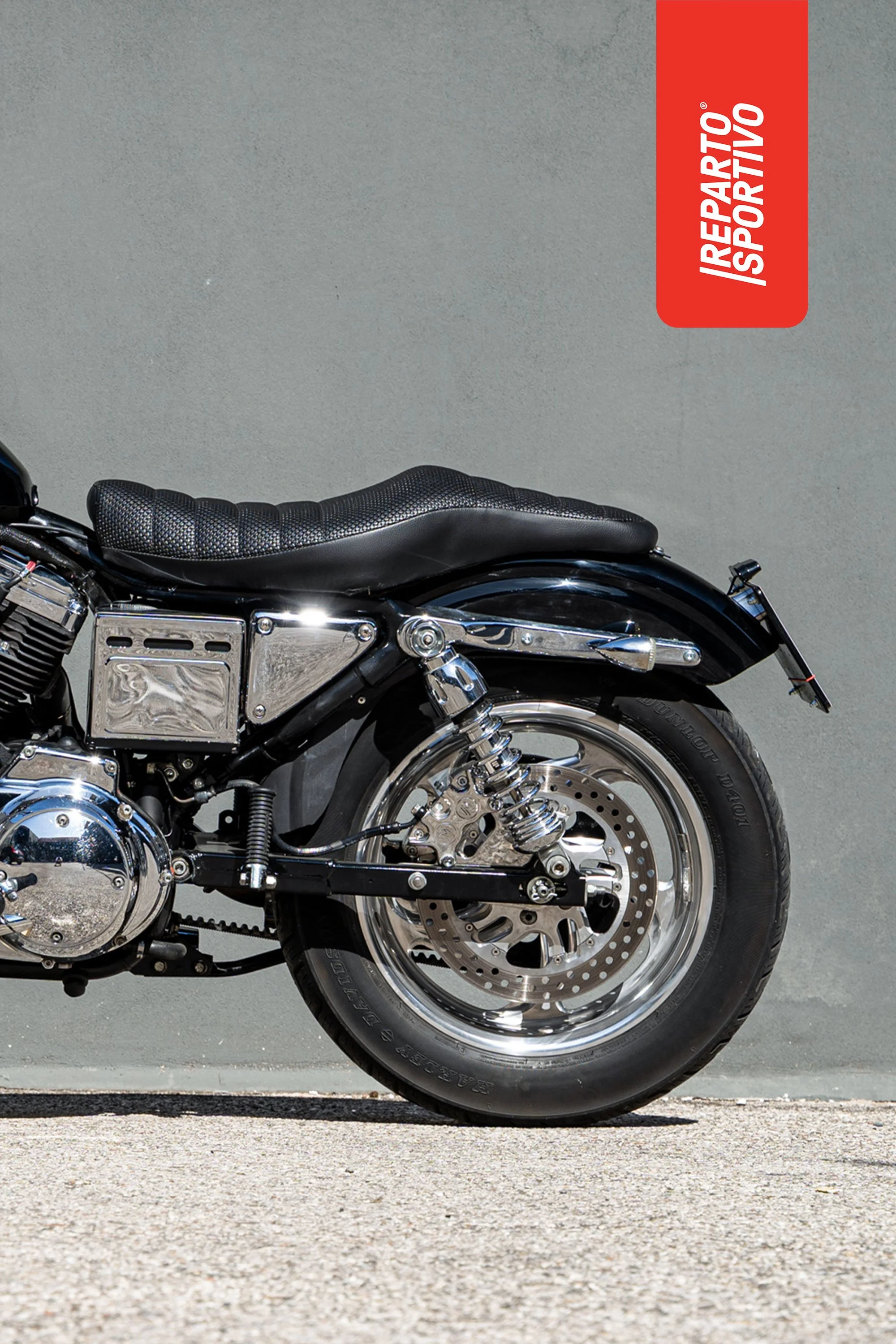SPORTSTER_13.jpg