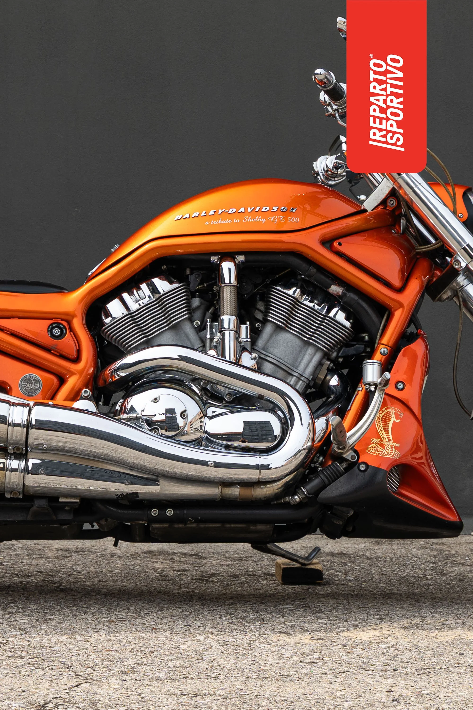 VROD_03.jpg