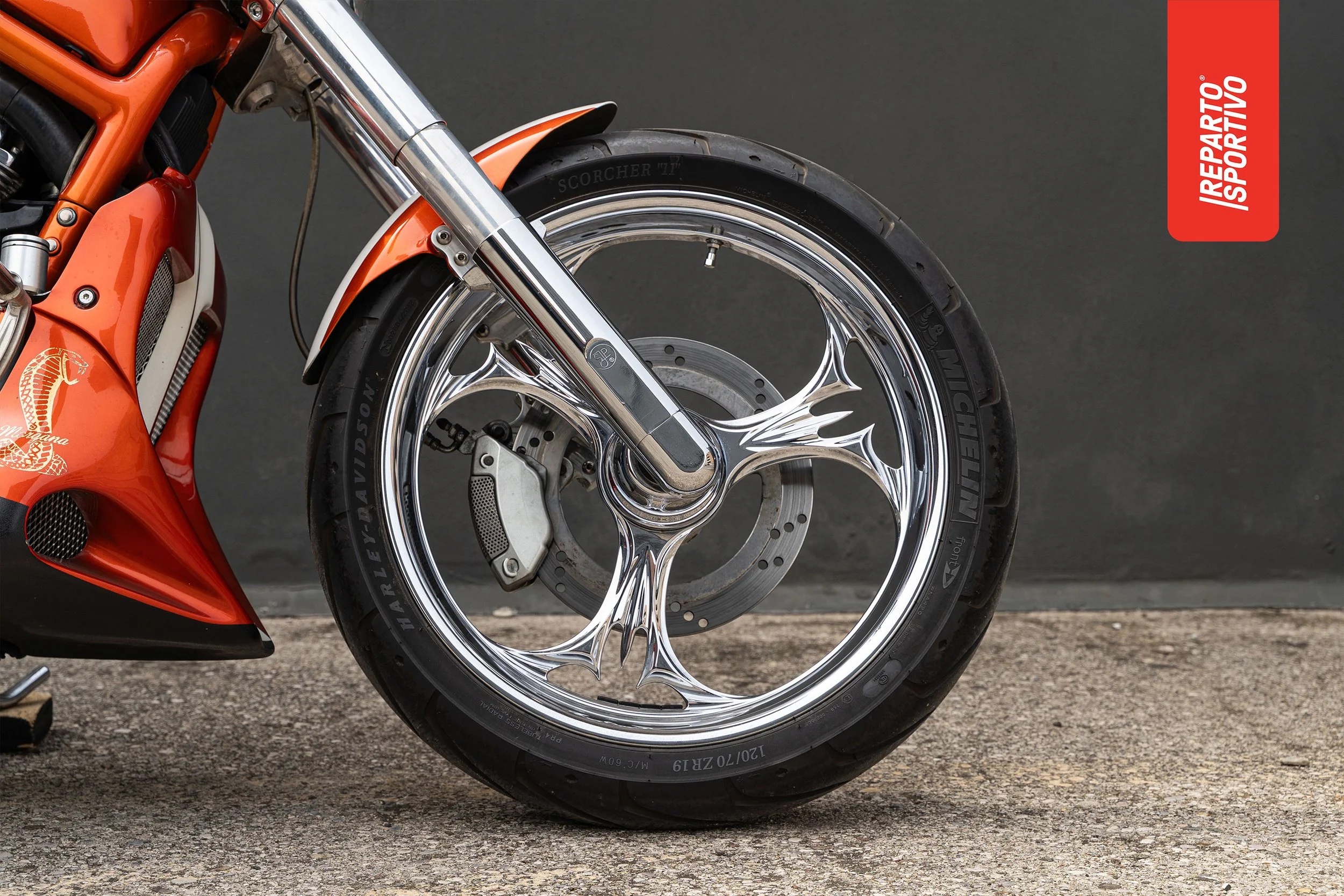 VROD_10.jpg