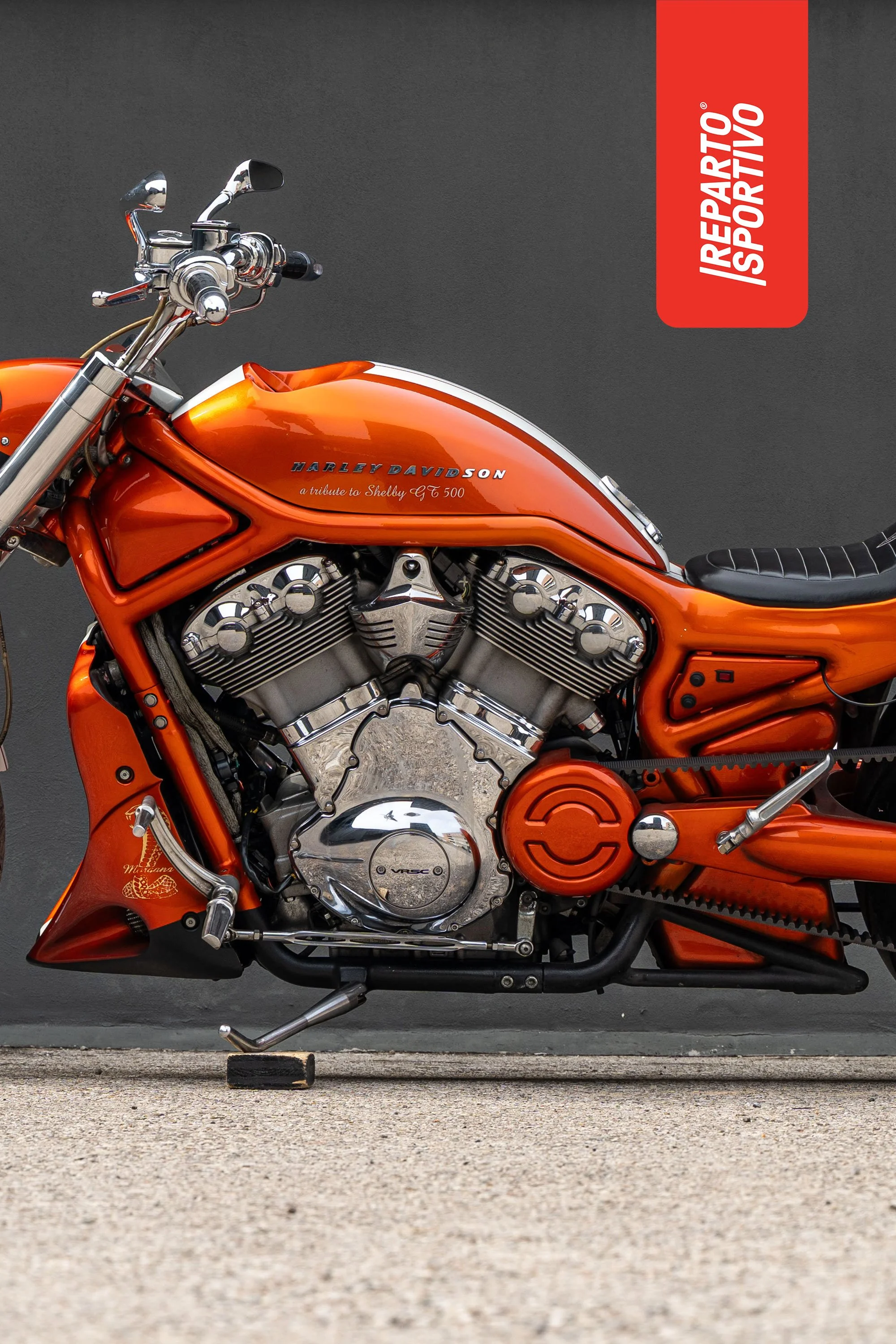 VROD_14.jpg