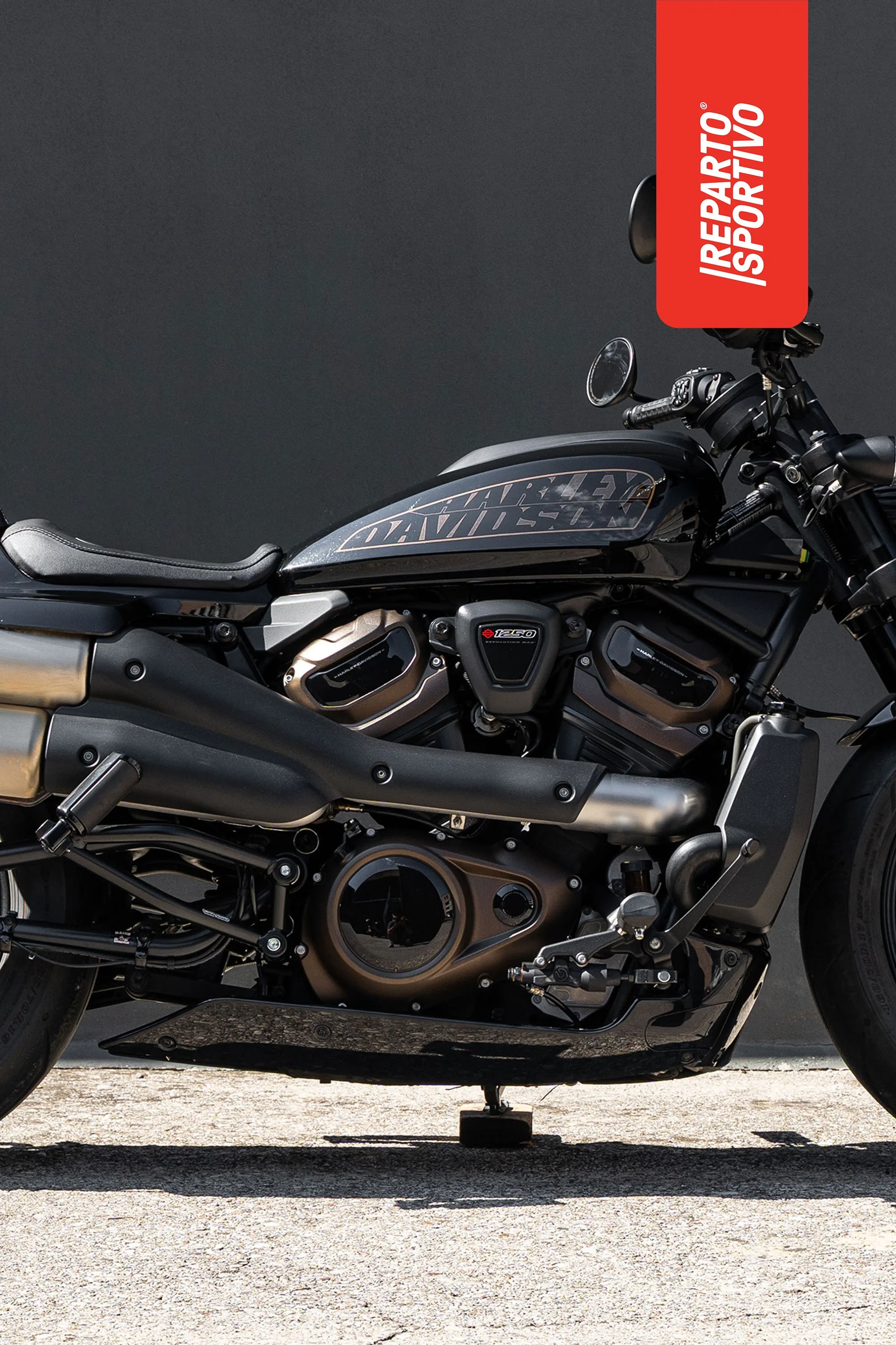 SPORTSTER_03.jpg