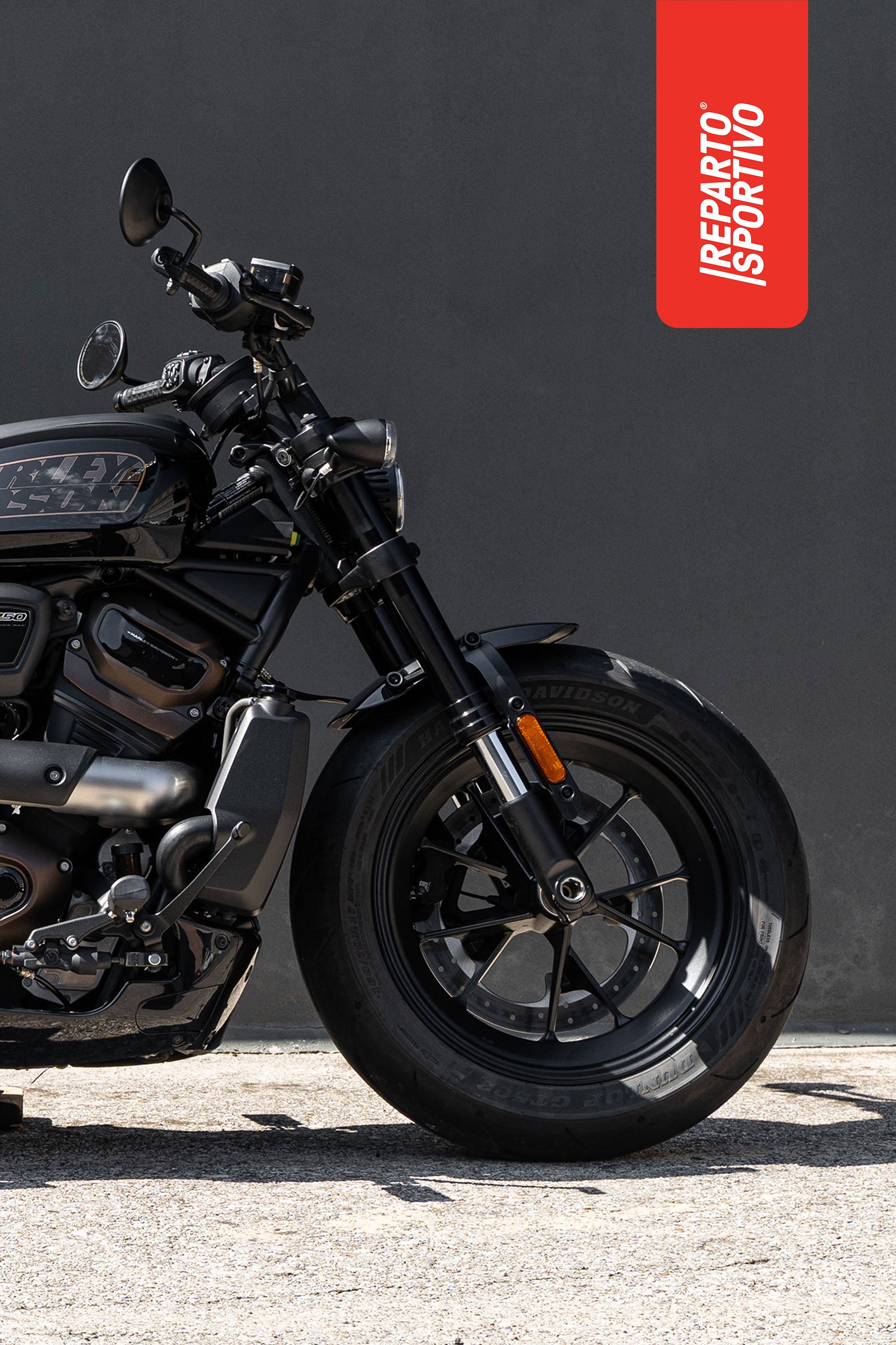 SPORTSTER_04.jpg