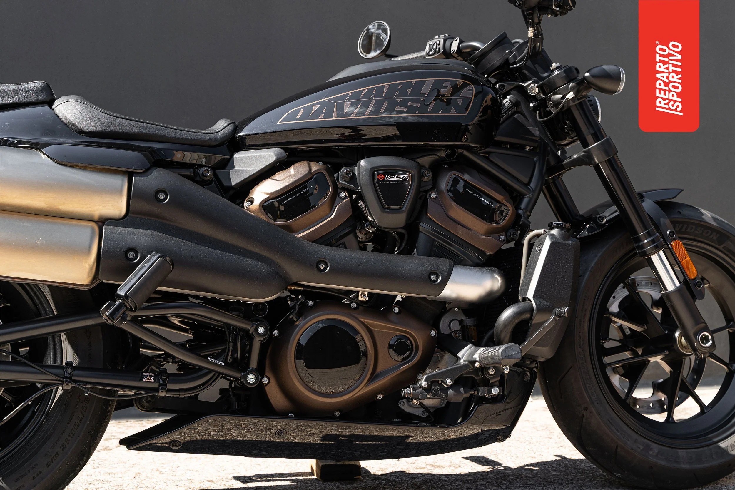 SPORTSTER_09.jpg