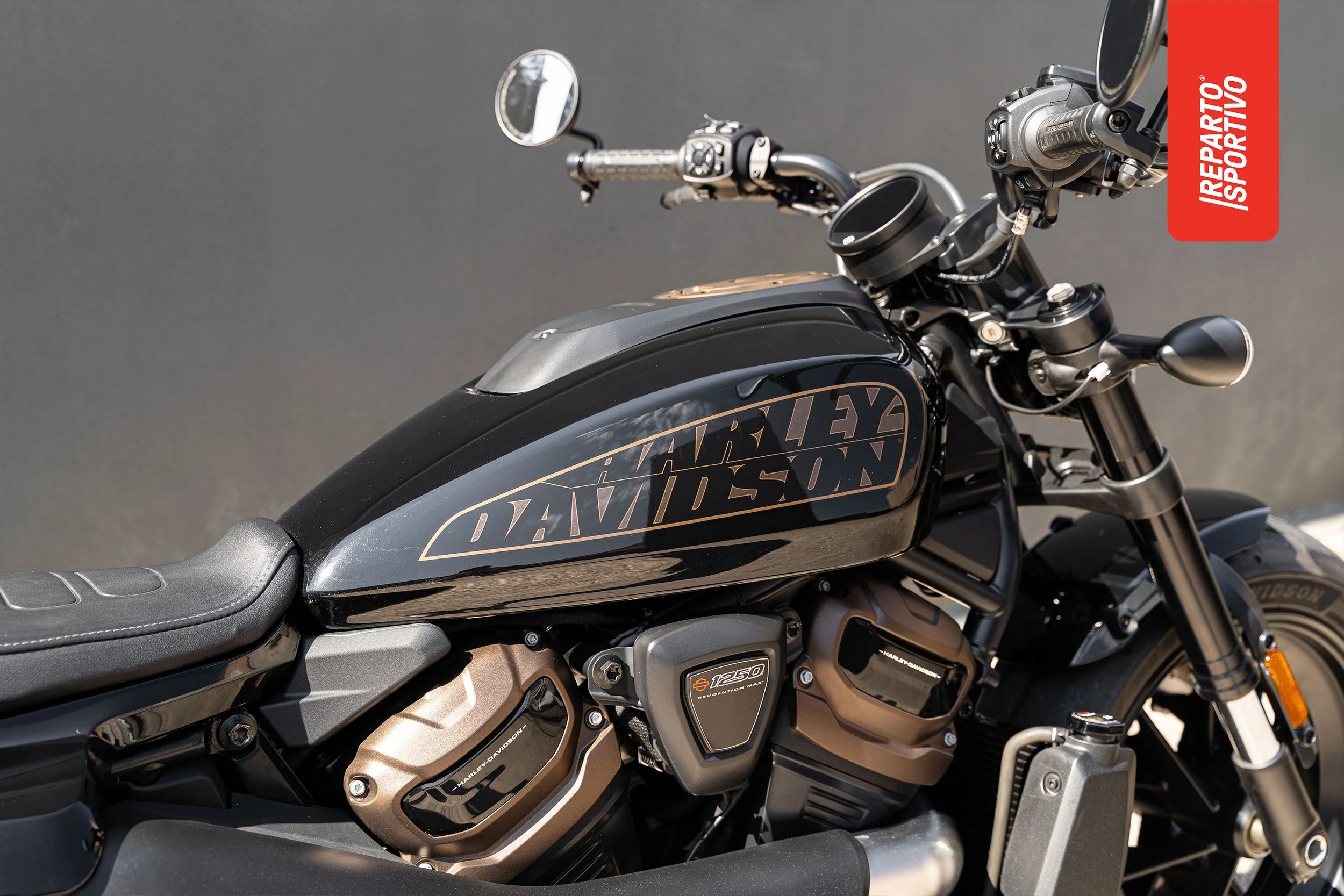 SPORTSTER_10.jpg