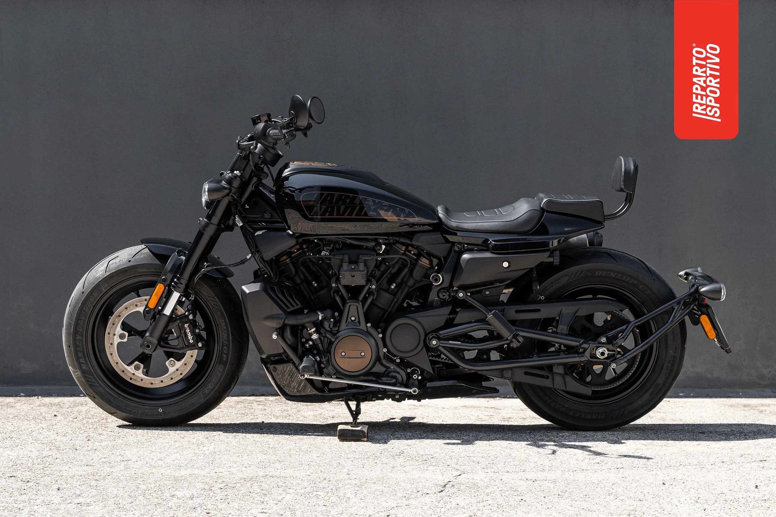 SPORTSTER_11.jpg