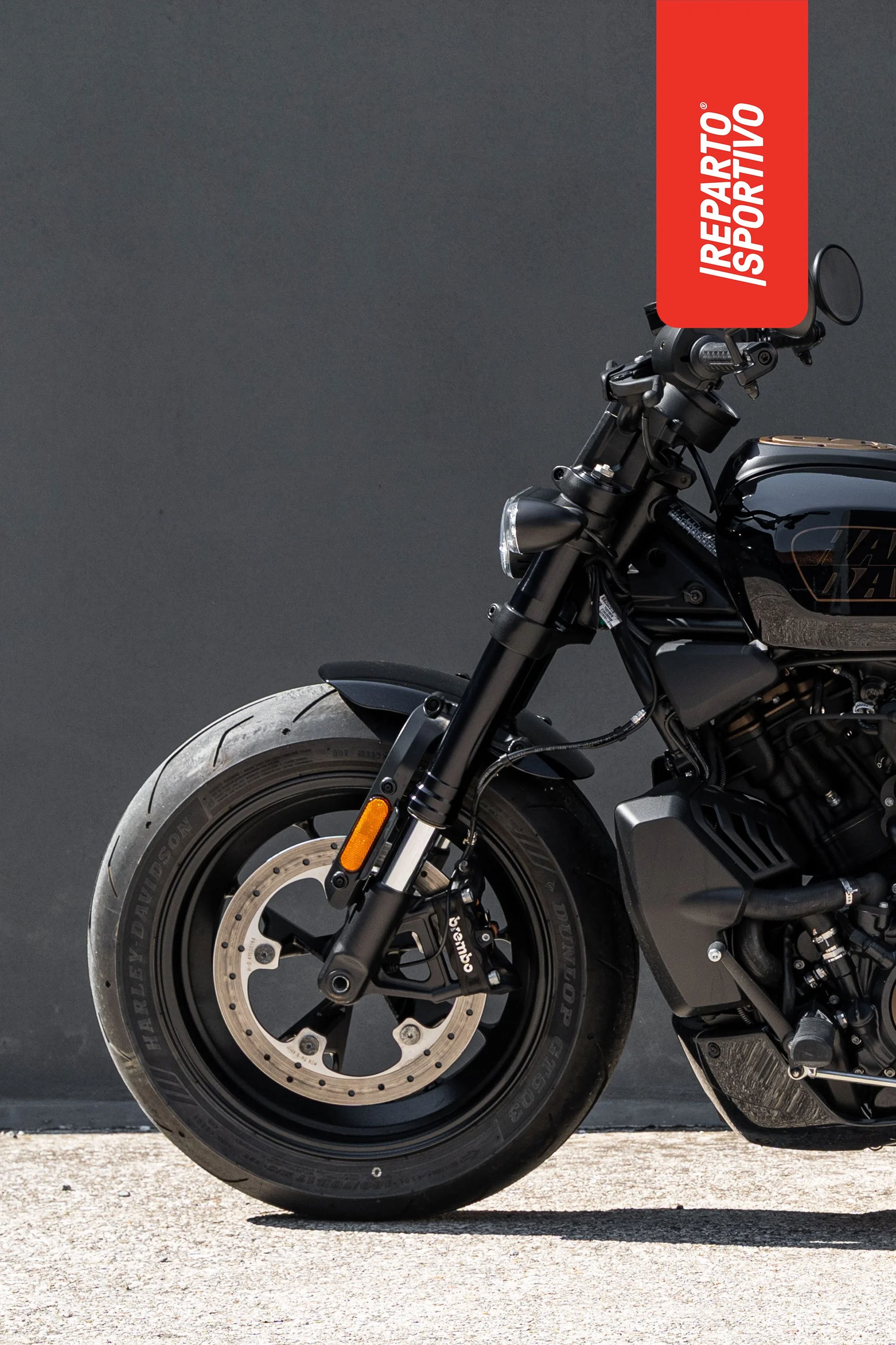 SPORTSTER_12.jpg