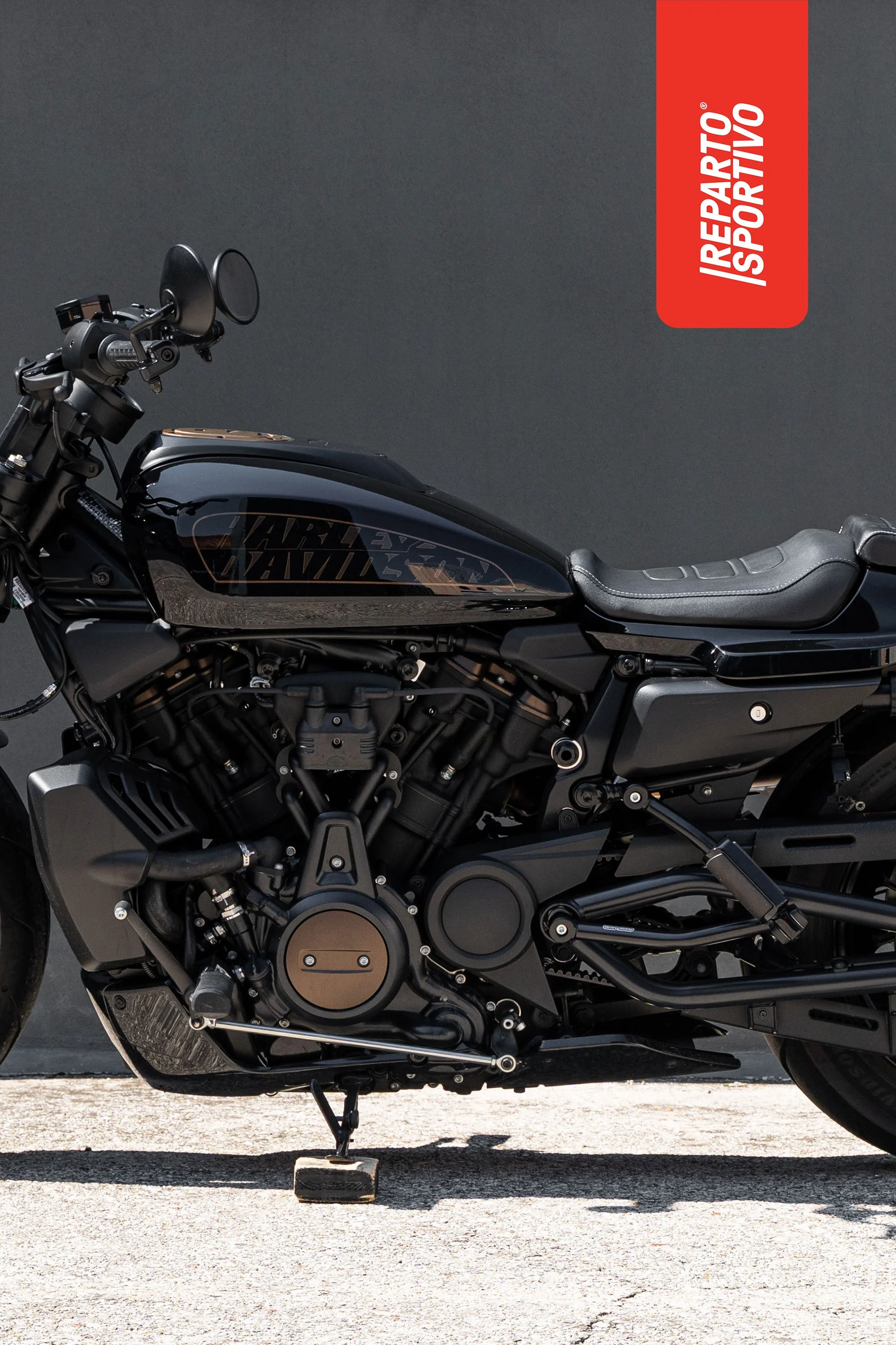 SPORTSTER_13.jpg
