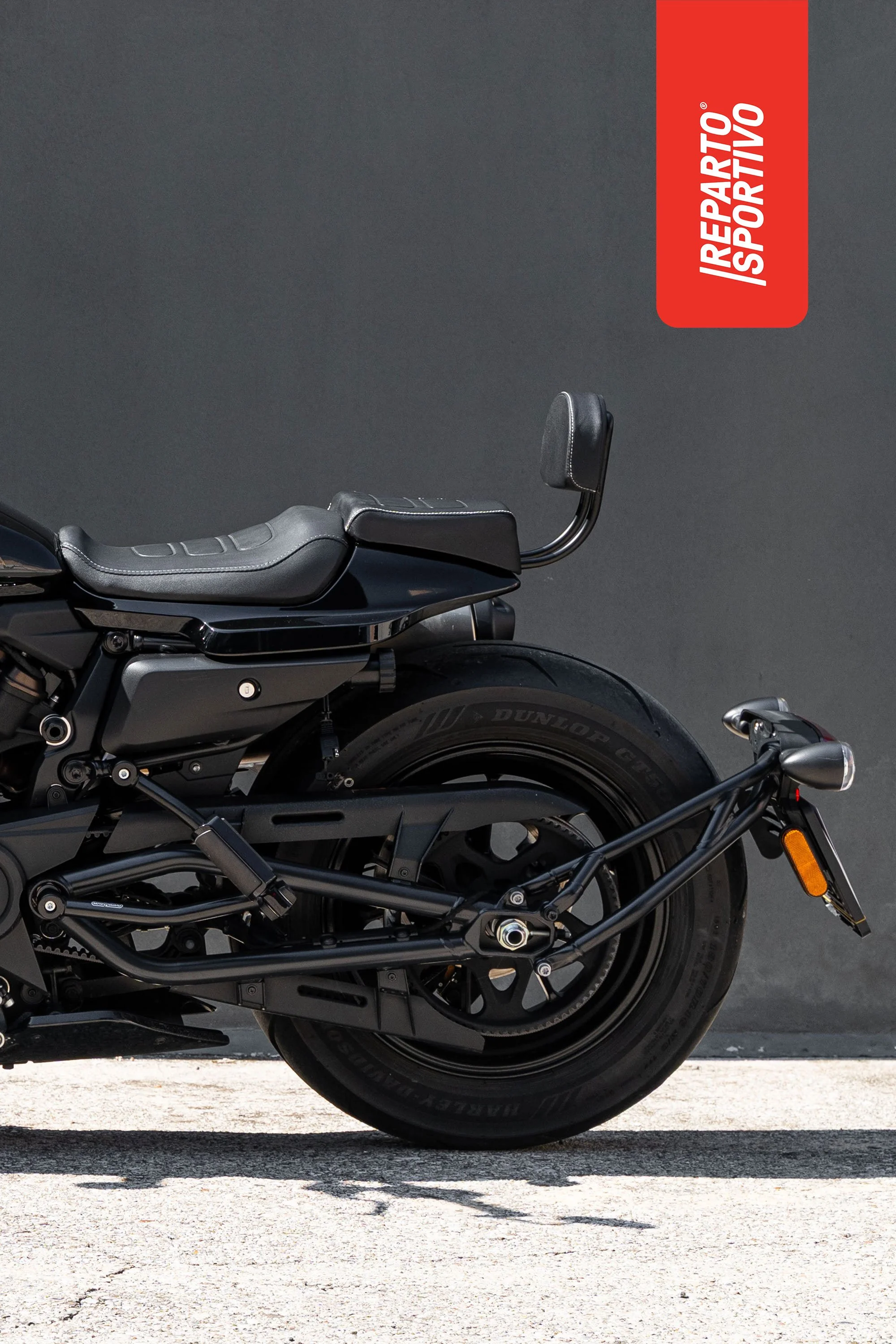 SPORTSTER_14.jpg