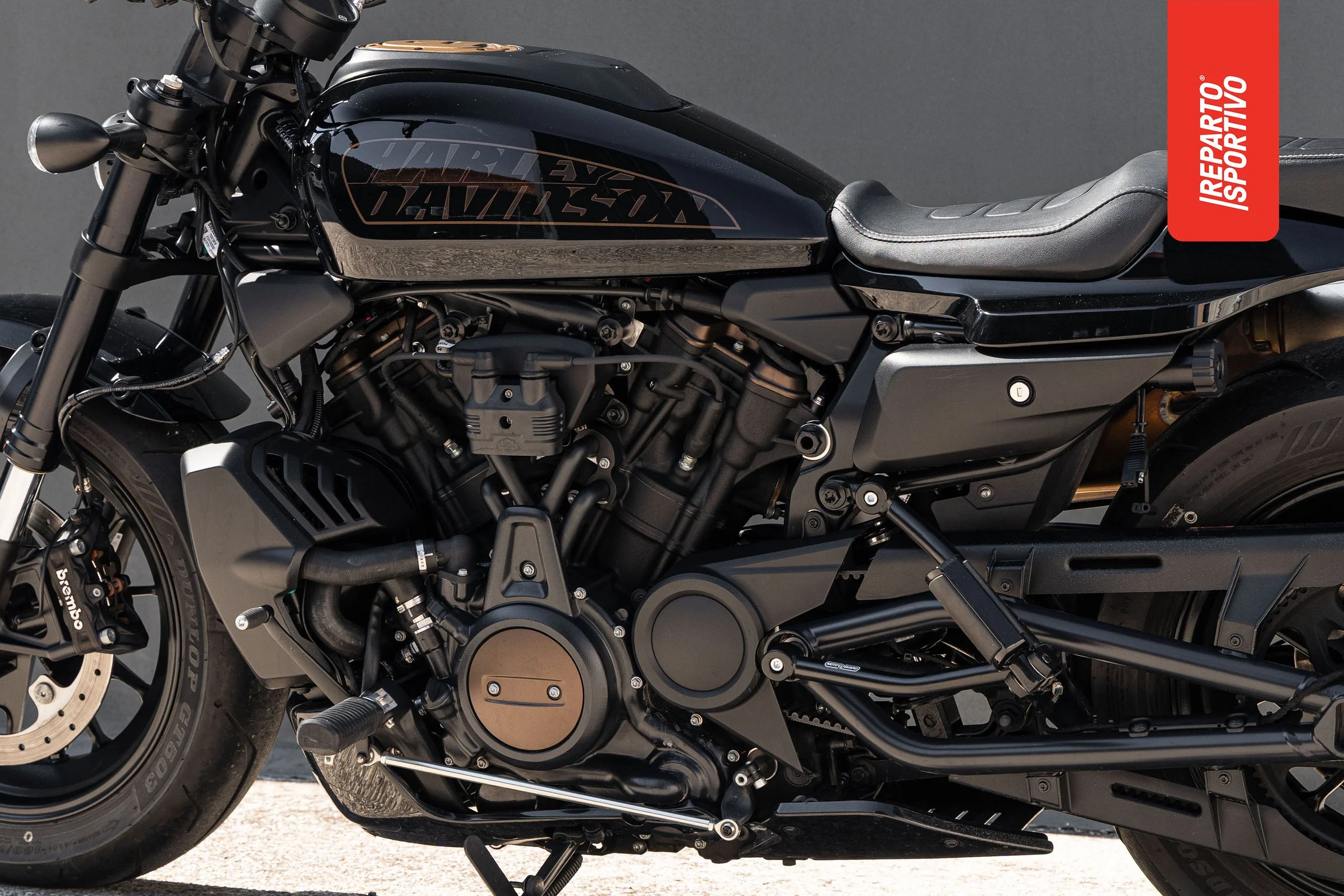SPORTSTER_15.jpg